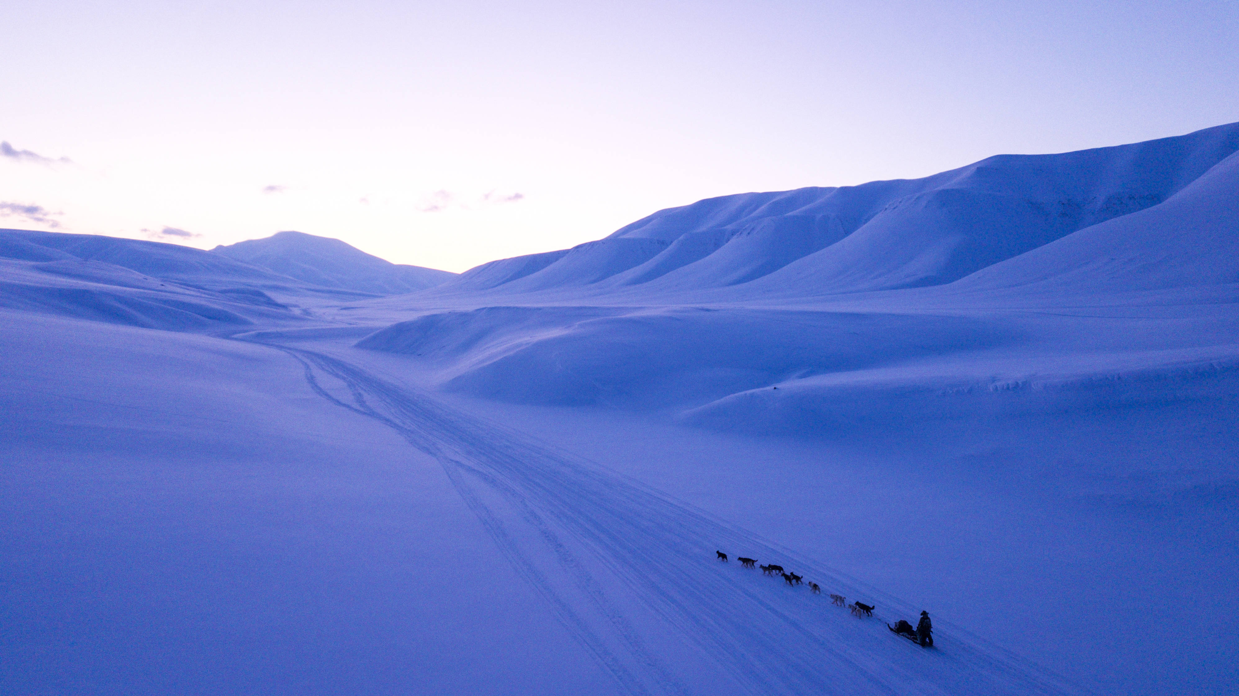 Svalbard 桌布 壁紙 — 一支孤獨的狗雪橇隊在柔和的暮色天空下，在無盡的雪山中開闢出一條蜿蜒的路徑。