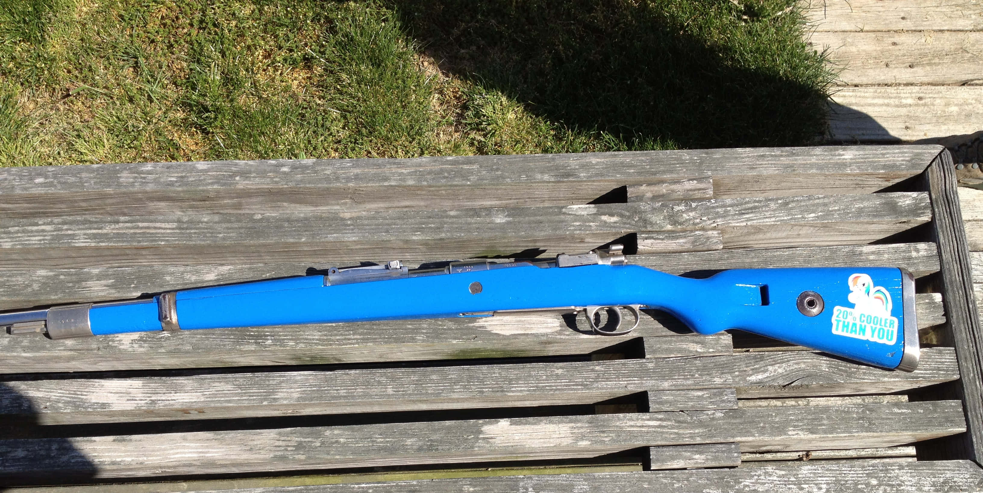 Rifle 桌布 壁紙 — 一支帶有鴨子貼紙的亮藍色步槍擱在風化的木板上，旁邊有草和水。