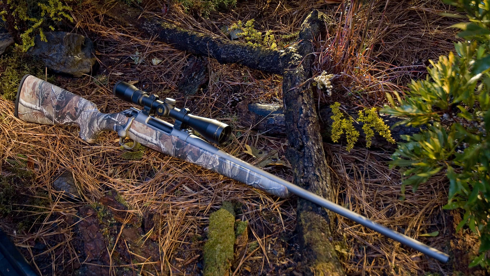 Rifle 桌布 壁紙 — 一支帶瞄準鏡的迷彩獵槍擱在松針和苔蘚上，周圍有倒下的圓木和綠色灌木。