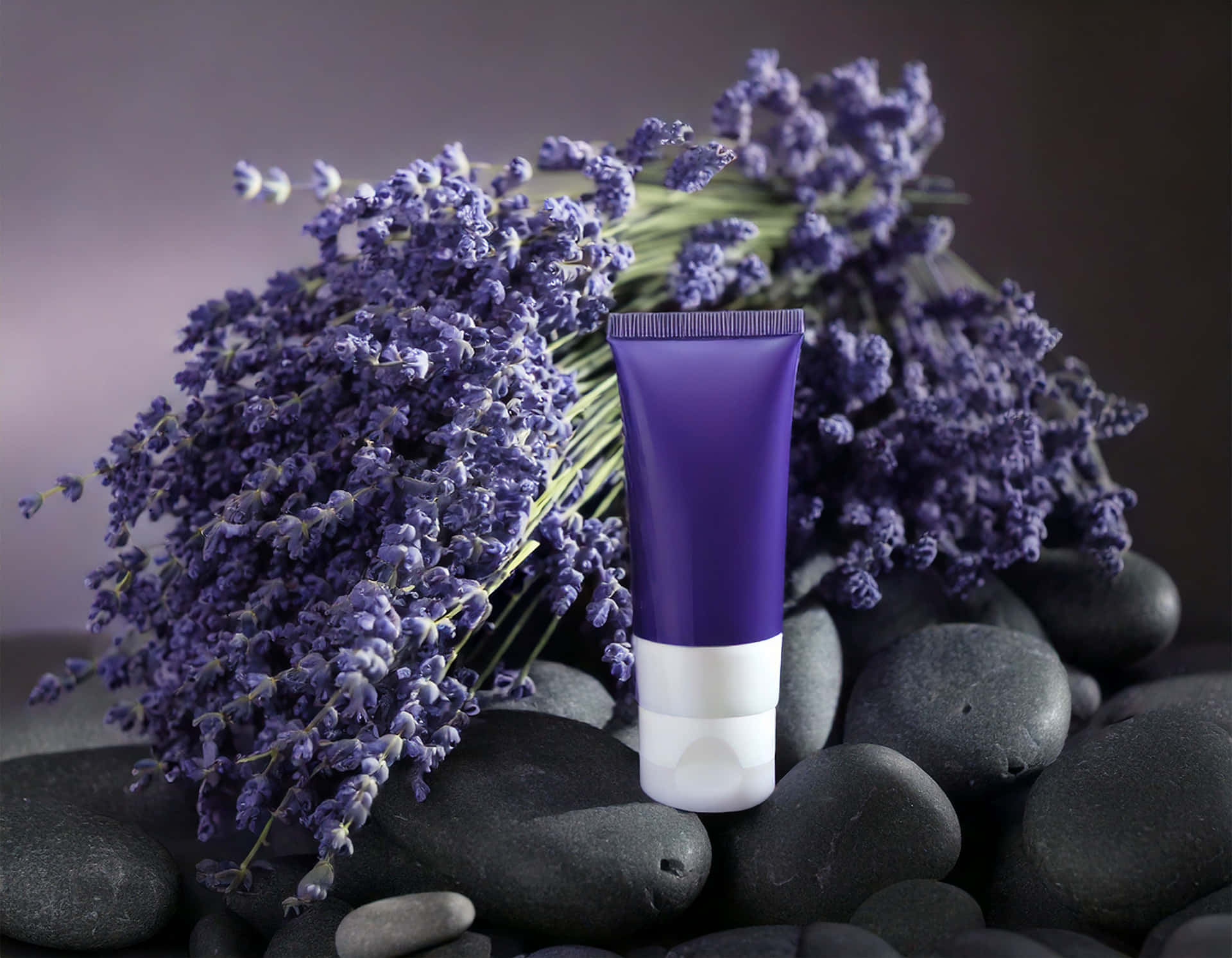 Cosmetic Cream 壁紙 — 一支時尚的紫色和白色乳液管在深色河石中直立，伴隨著茂盛的薰衣草花束。