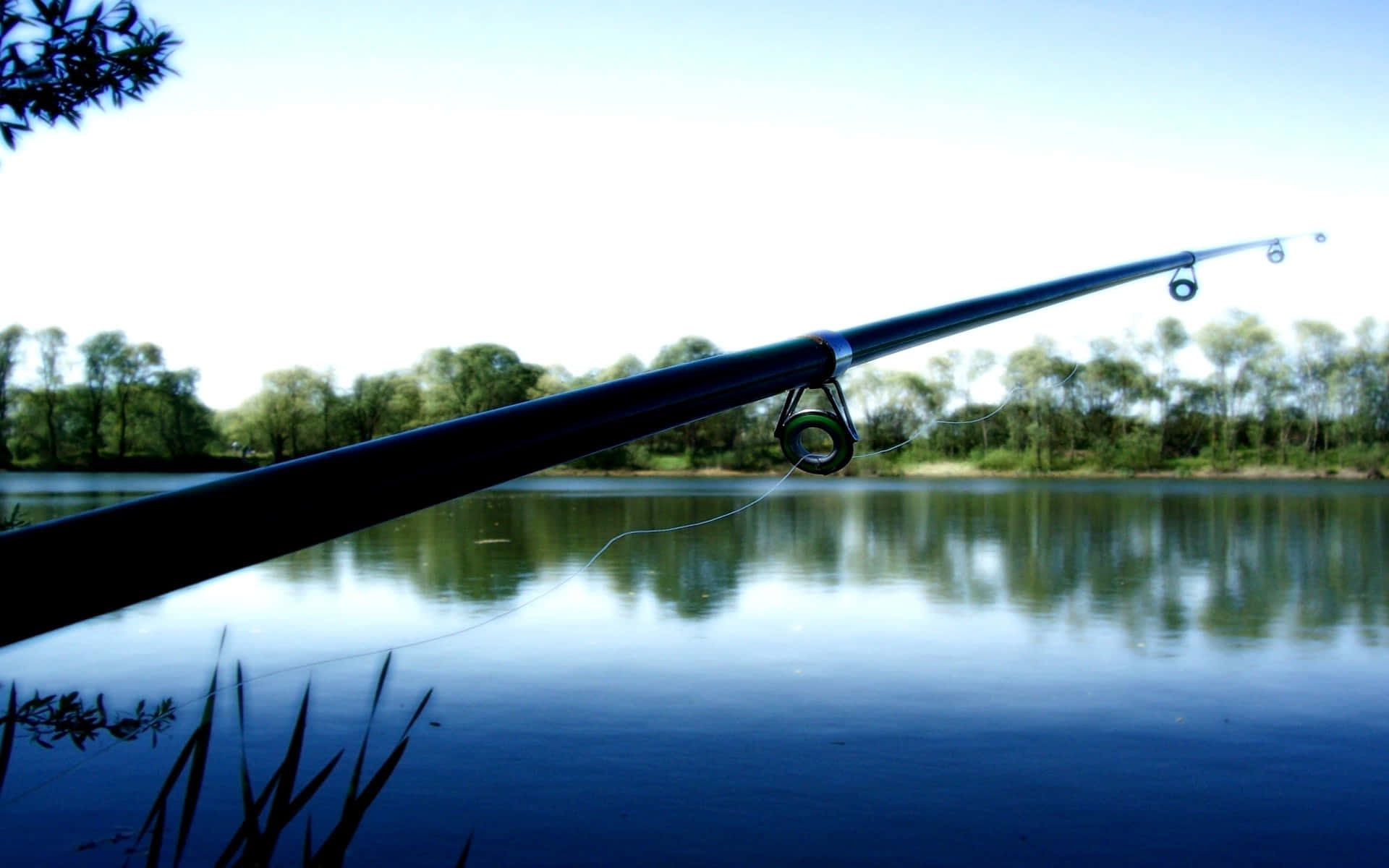 Fishing Rod 桌布 壁紙 — 一支流線型魚竿延伸在平靜的藍色水面上，水面倒映著綠樹，天空明亮。