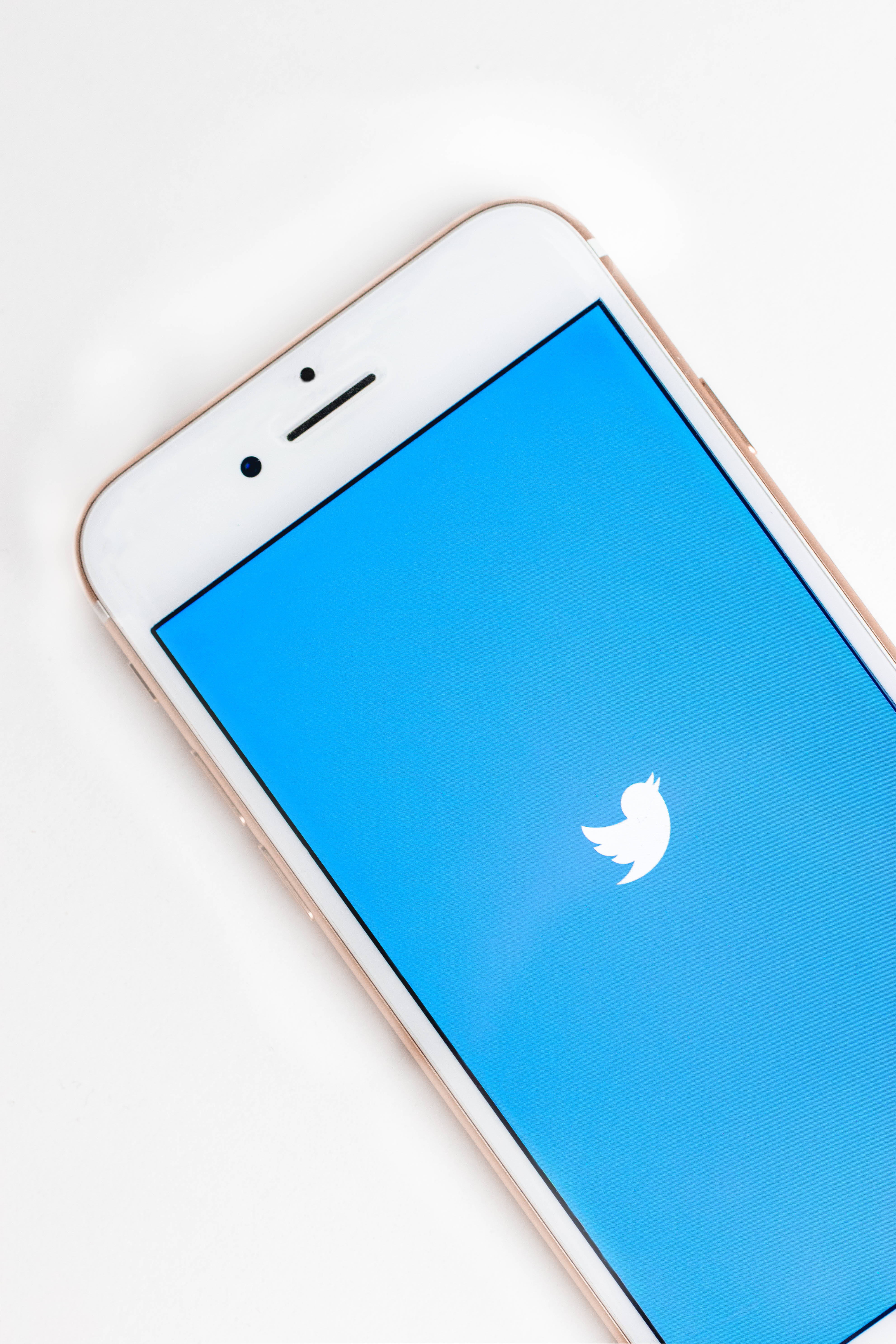 Twitter 桌布 壁紙 — 一支玫瑰金智慧型手機在明亮的藍色螢幕上顯示Twitter標誌，背景為純白色。
