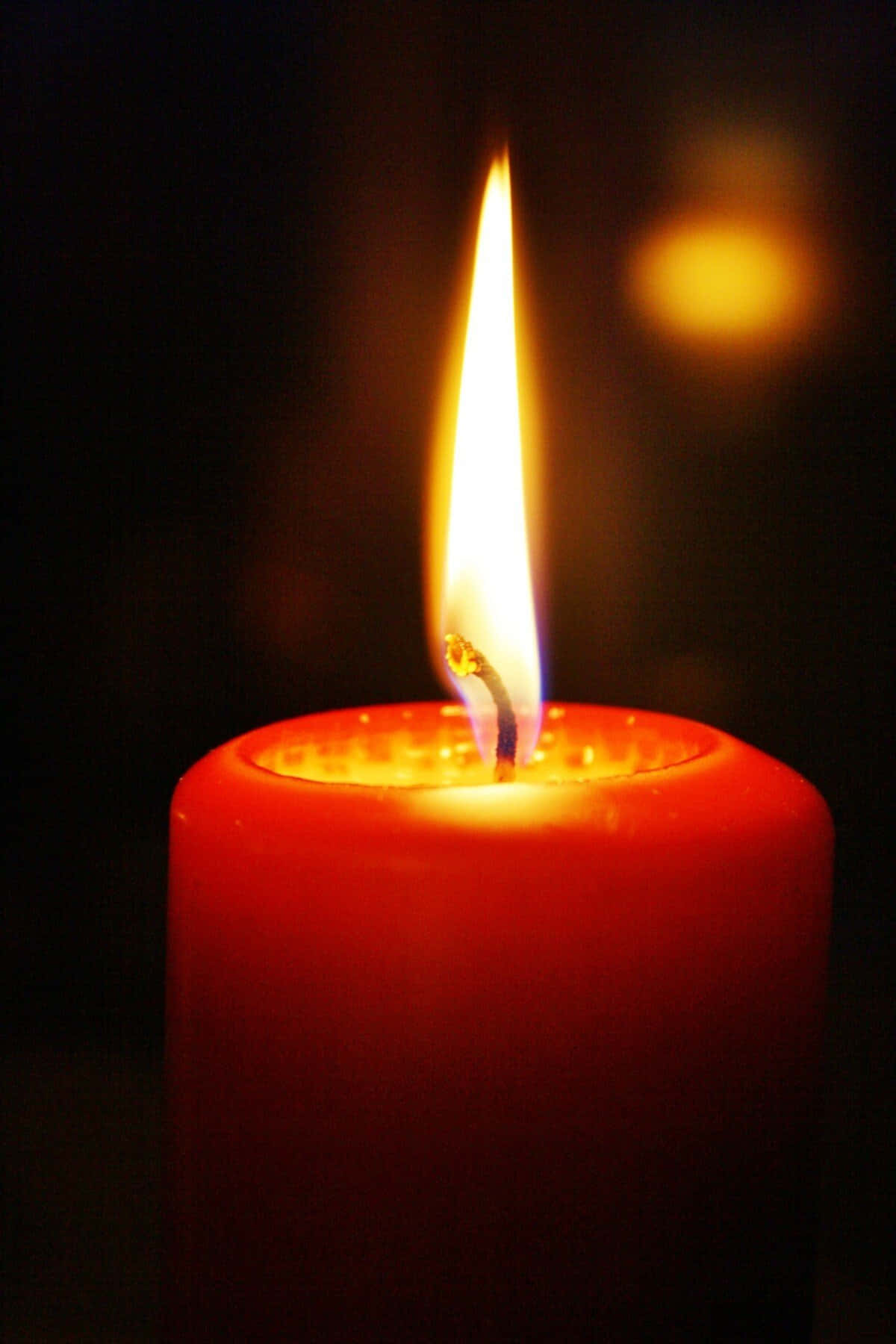 Candle Light 桌布 壁紙 — 一支紅色蠟燭在黑暗模糊的背景前明亮地燃燒，火焰高聳。