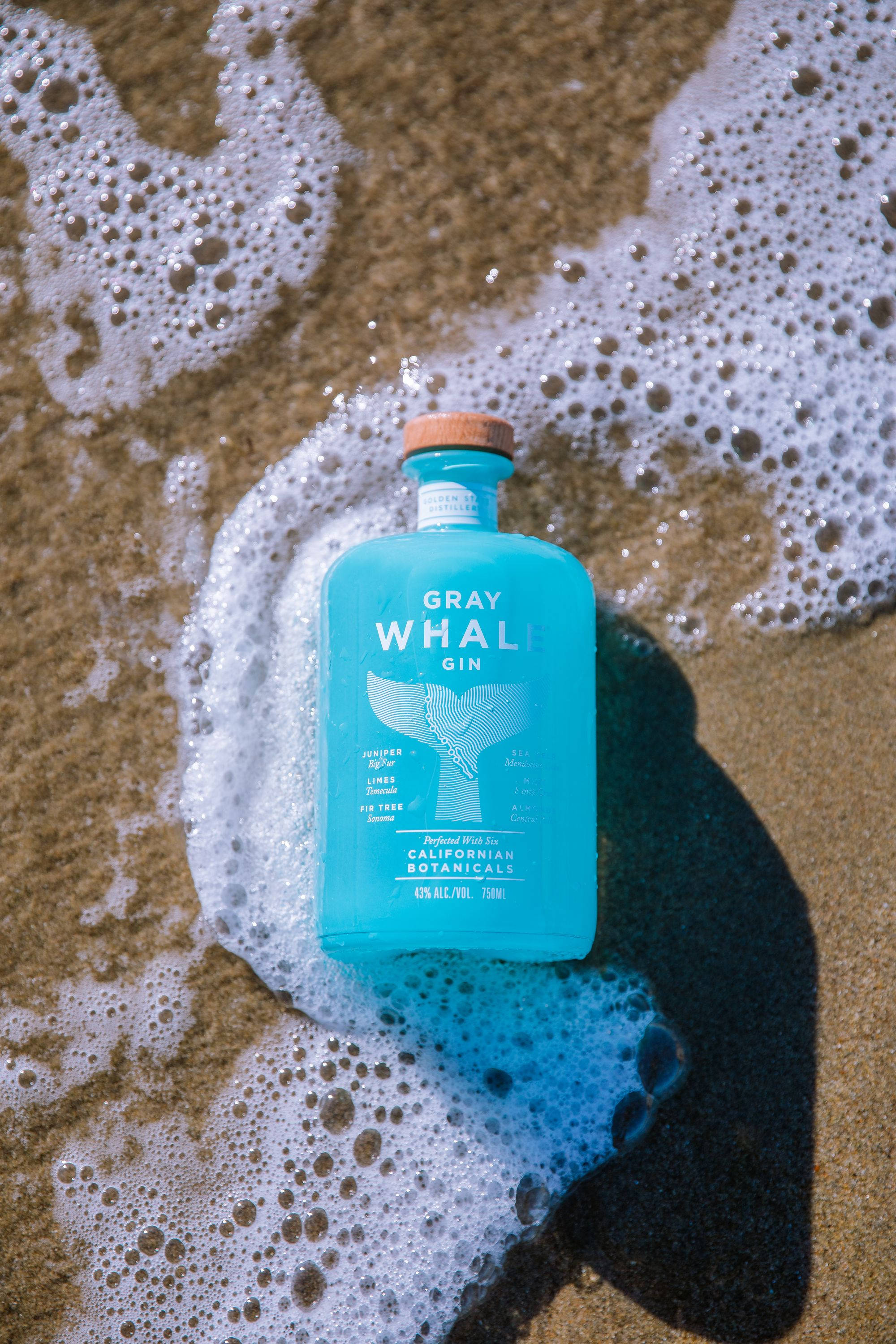 alcohol 桌布 壁紙 — 一支藍綠色的Gray Whale Gin酒瓶放在金色沙灘的泡沫海浪中，在明亮的陽光下。