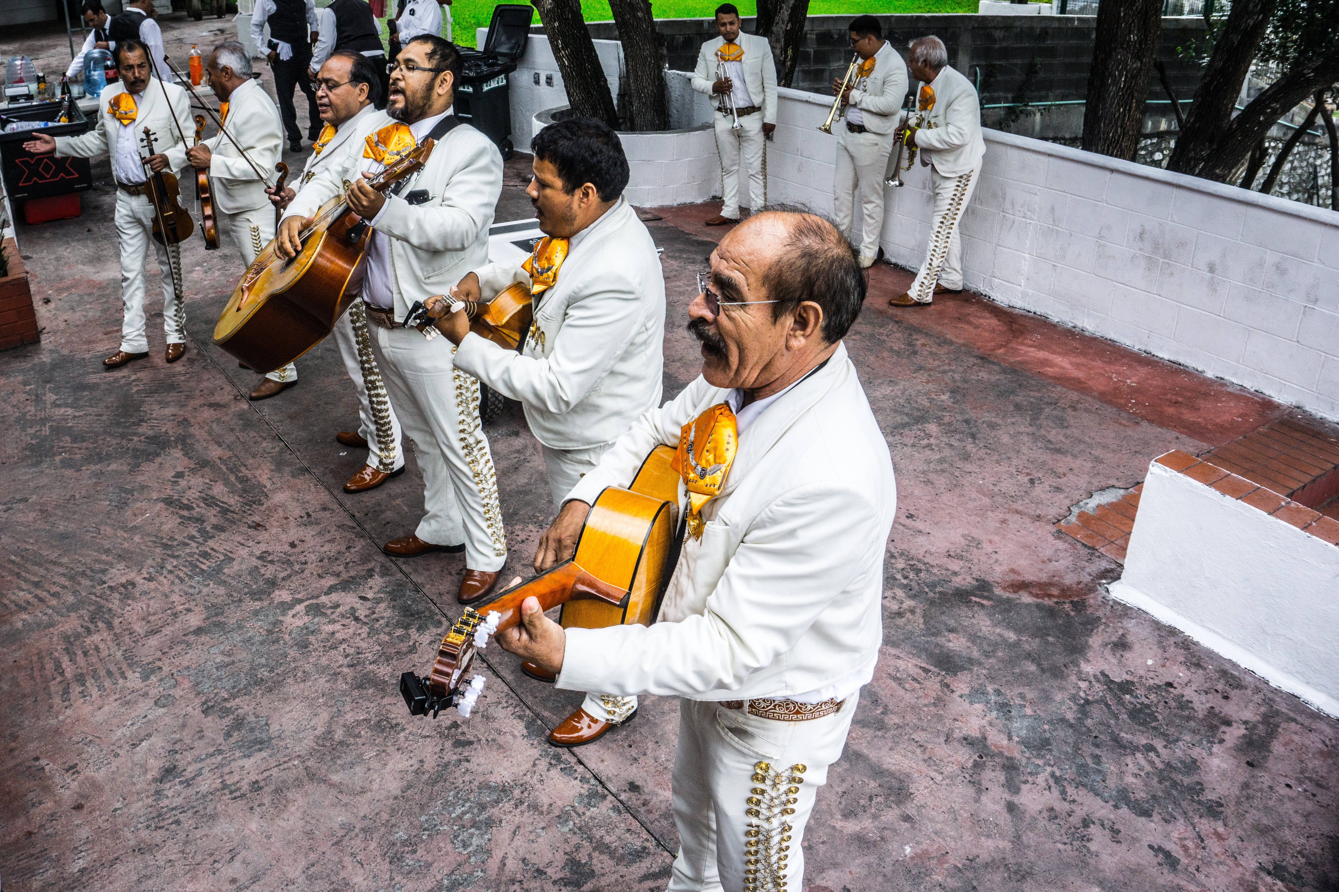 Mexican 桌布 壁紙 — 一支身穿白色西裝配金色裝飾的街頭樂隊在鋪砌的庭院中演奏吉他和喇叭，背景有樹木和矮牆。