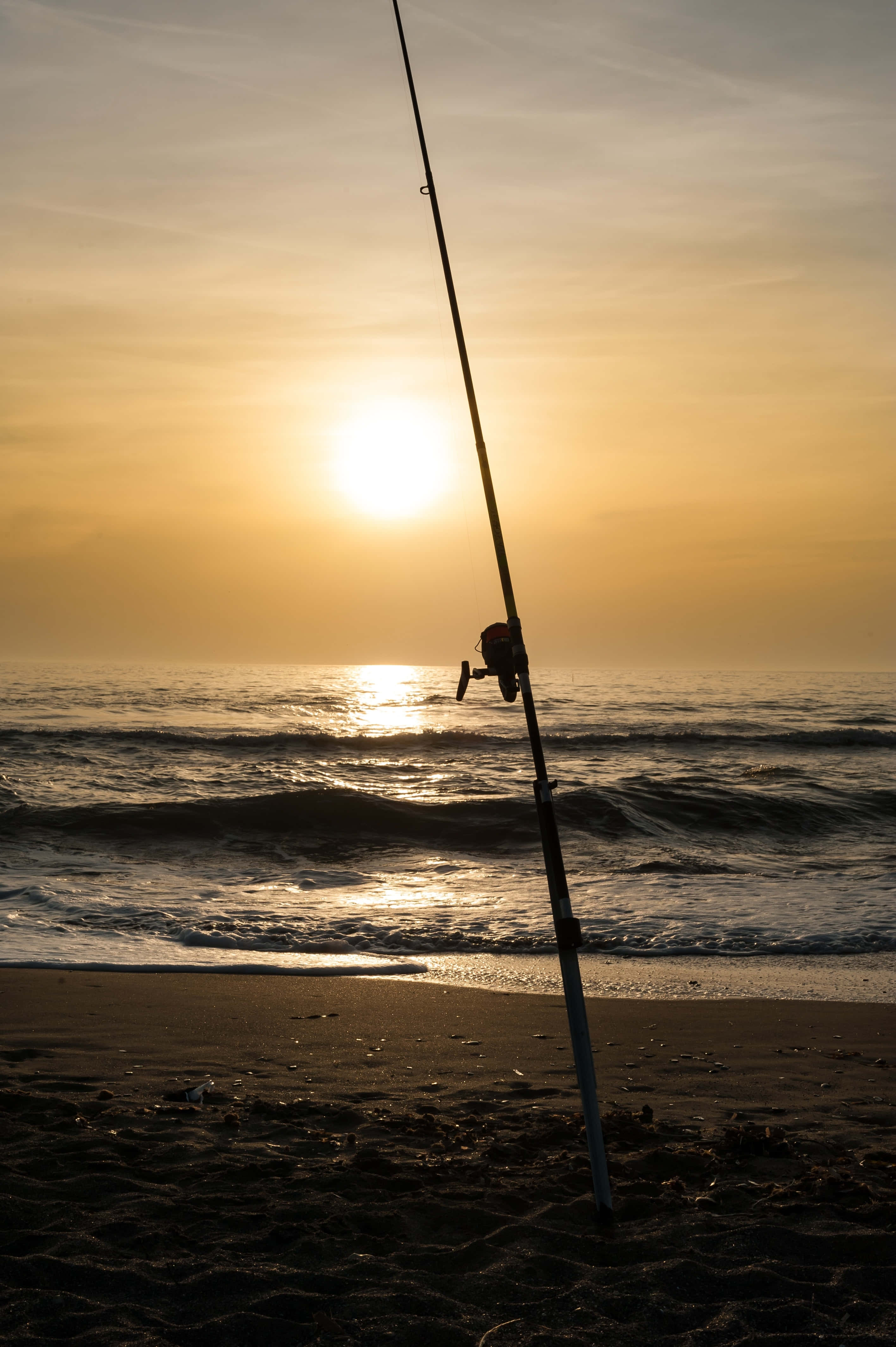 Fishing Rod 桌布 壁紙 — 一支釣竿在沙灘上形成剪影，夕陽在海面上落下，將金色光芒灑在波浪上。