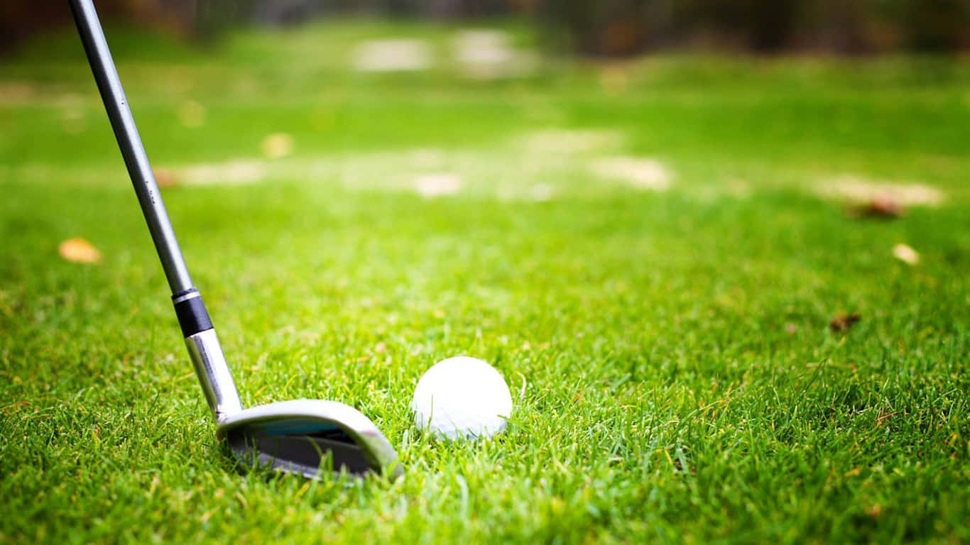 1366x768 Golf Course 桌布 壁紙 — 一支高爾夫球桿和一個高爾夫球在明亮的日光下，放在鮮綠色的草地上，背景樹葉模糊。