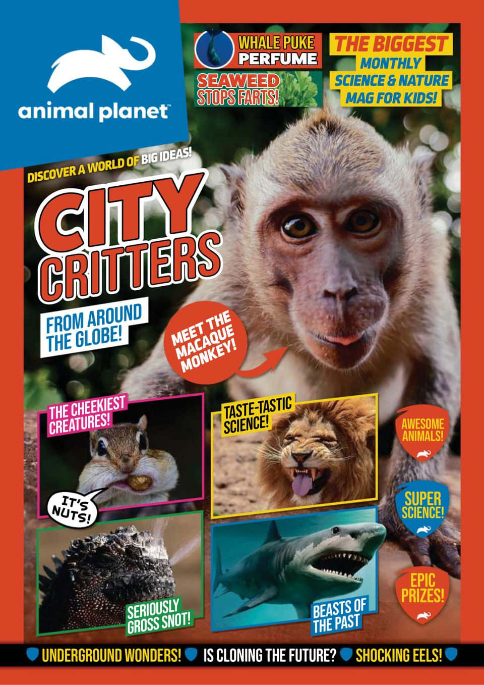 動物星球 桌布 壁紙 — 一本充滿活力的雜誌封面，特寫一隻獼猴，周圍環繞著花栗鼠、獅子、鯊魚和海膽的小圖像，並帶有醒目的科學主題標題。