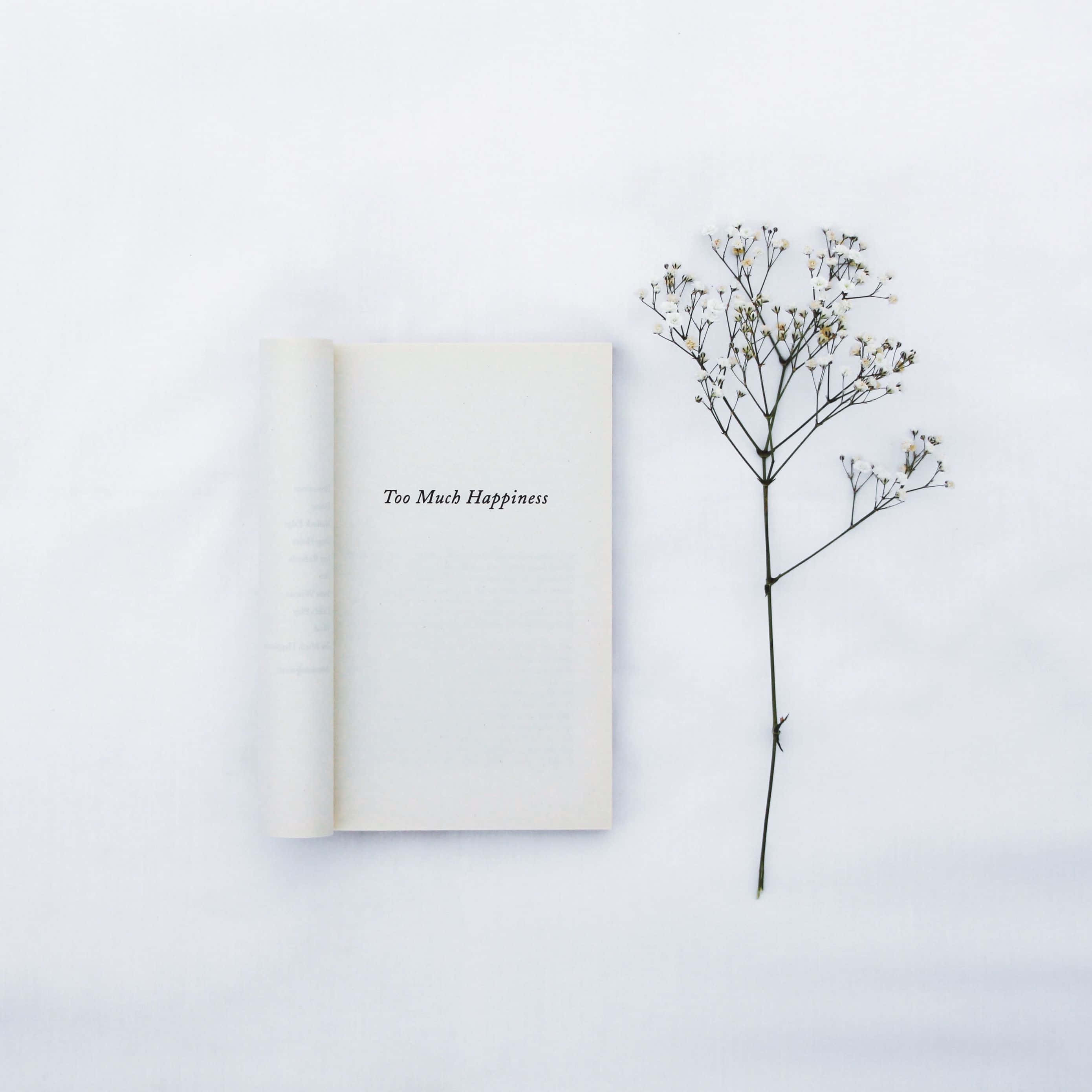Plant Aesthetic 桌布 壁紙 — 一本名為《Too Much Happiness》的打開的書，旁邊放著一枝精緻的乾花枝，在純白表面上。