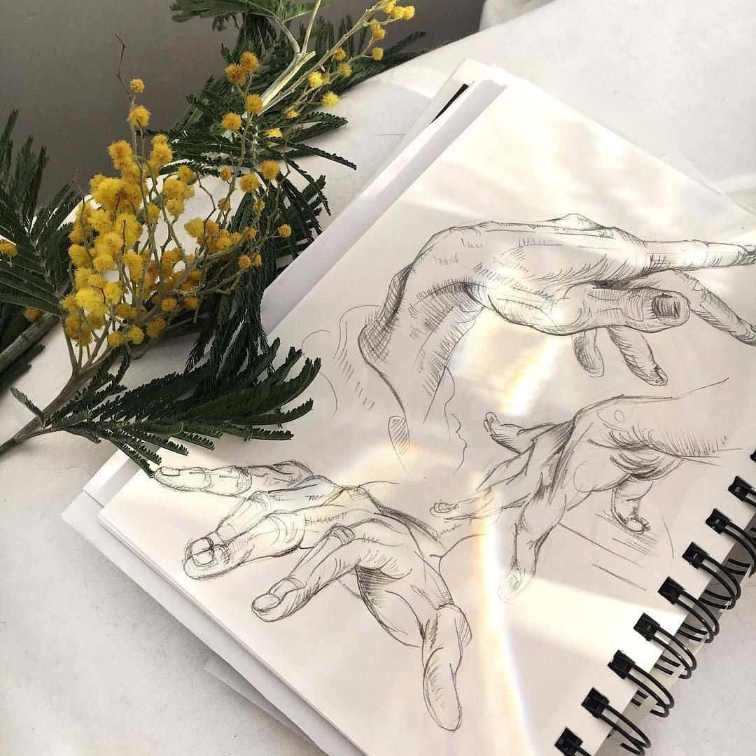 Aesthetic Drawings 桌布 壁紙 — 一本帶有詳細手繪圖案的素描本，旁邊放著一枝黃色含羞草花，置於明亮的白色表面上。