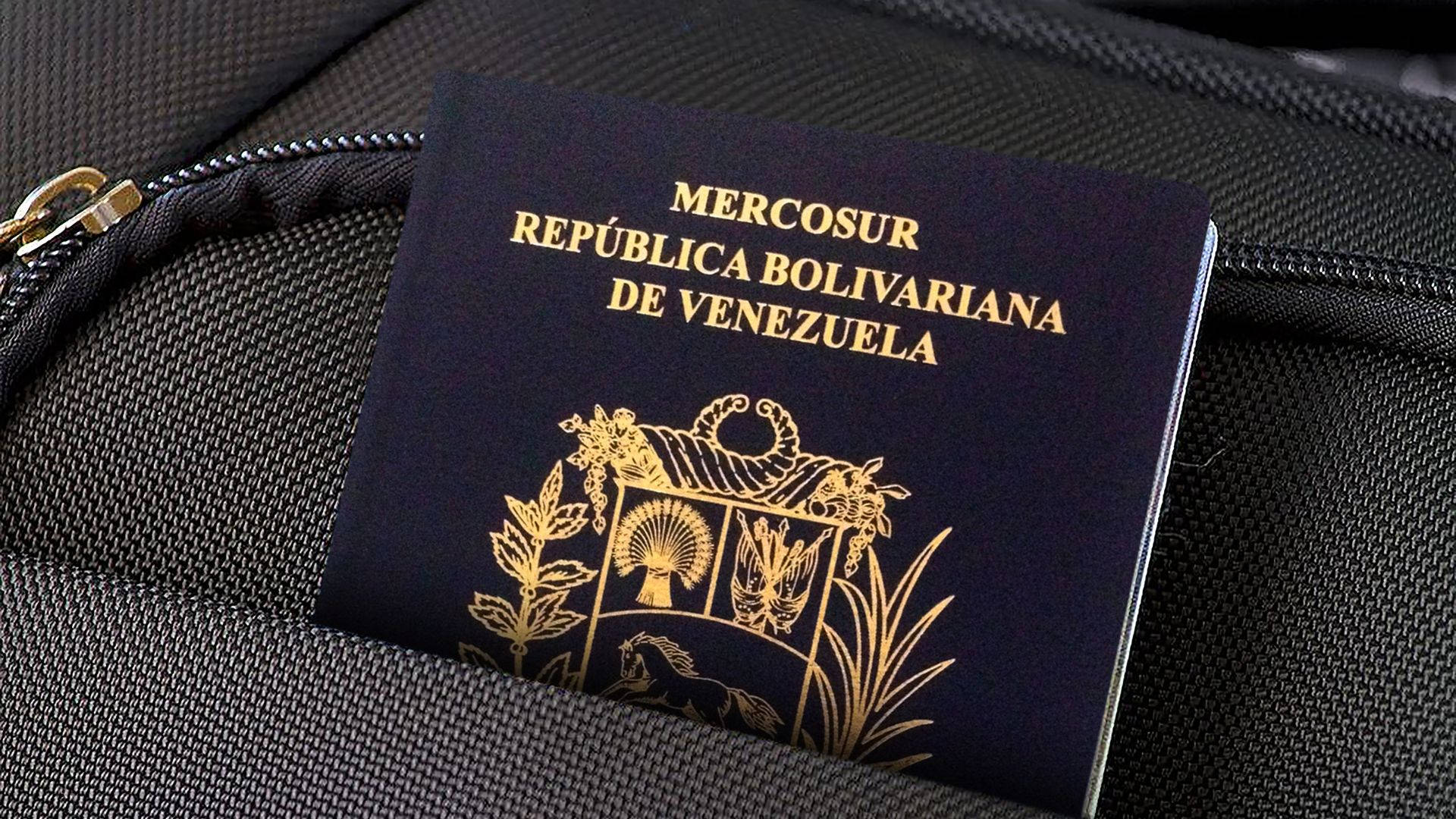Passport 桌布 壁紙 — 一本帶有金色壓花細節的委內瑞拉護照，部分打開放在一個黑色紋理行李箱拉鍊中。