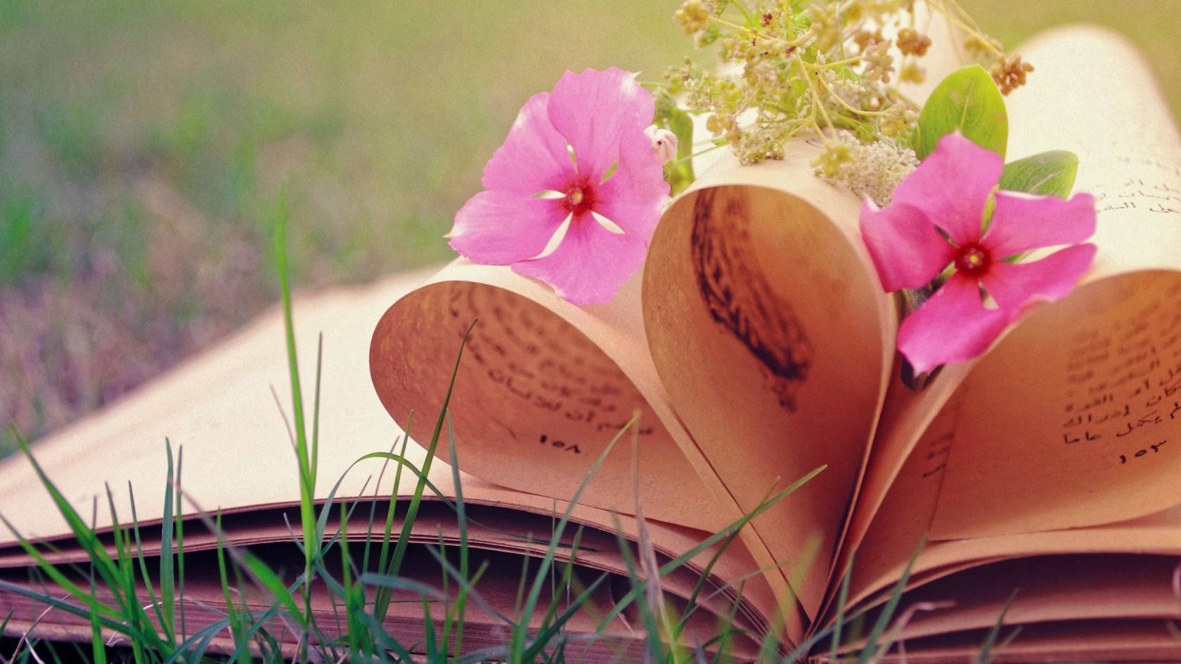 Love Nature 桌布 壁紙 — 一本復古書在草地上打開，粉紅色的花朵和綠色植物依偎在它捲曲的書頁中。