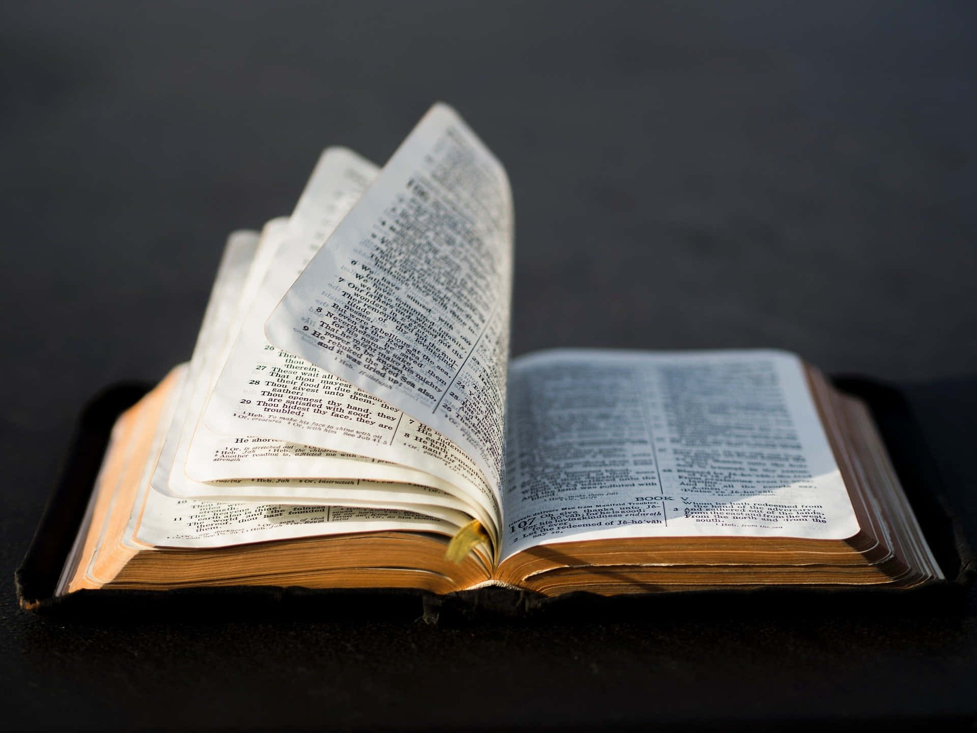 Bible Study 桌布 壁紙 — 一本打開且破舊的聖經放在深色表面上，柔和的光線突顯其老舊的書頁和泛黃的邊緣。