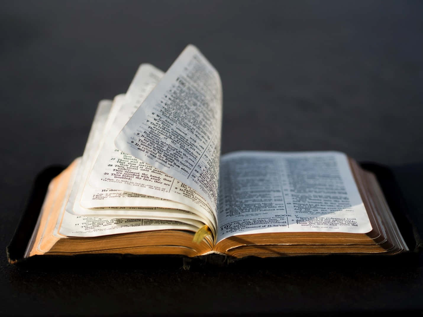 Scripture 桌布 壁紙 — 一本打開的、破舊的聖經放在黑暗的表面上，書頁在溫暖的燈光下微微捲曲。
