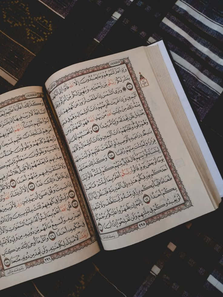 Quran 桌布 壁紙 — 一本打開的古蘭經，帶有精緻的阿拉伯書法，放在深色圖案布料上，被柔和自然光照亮。