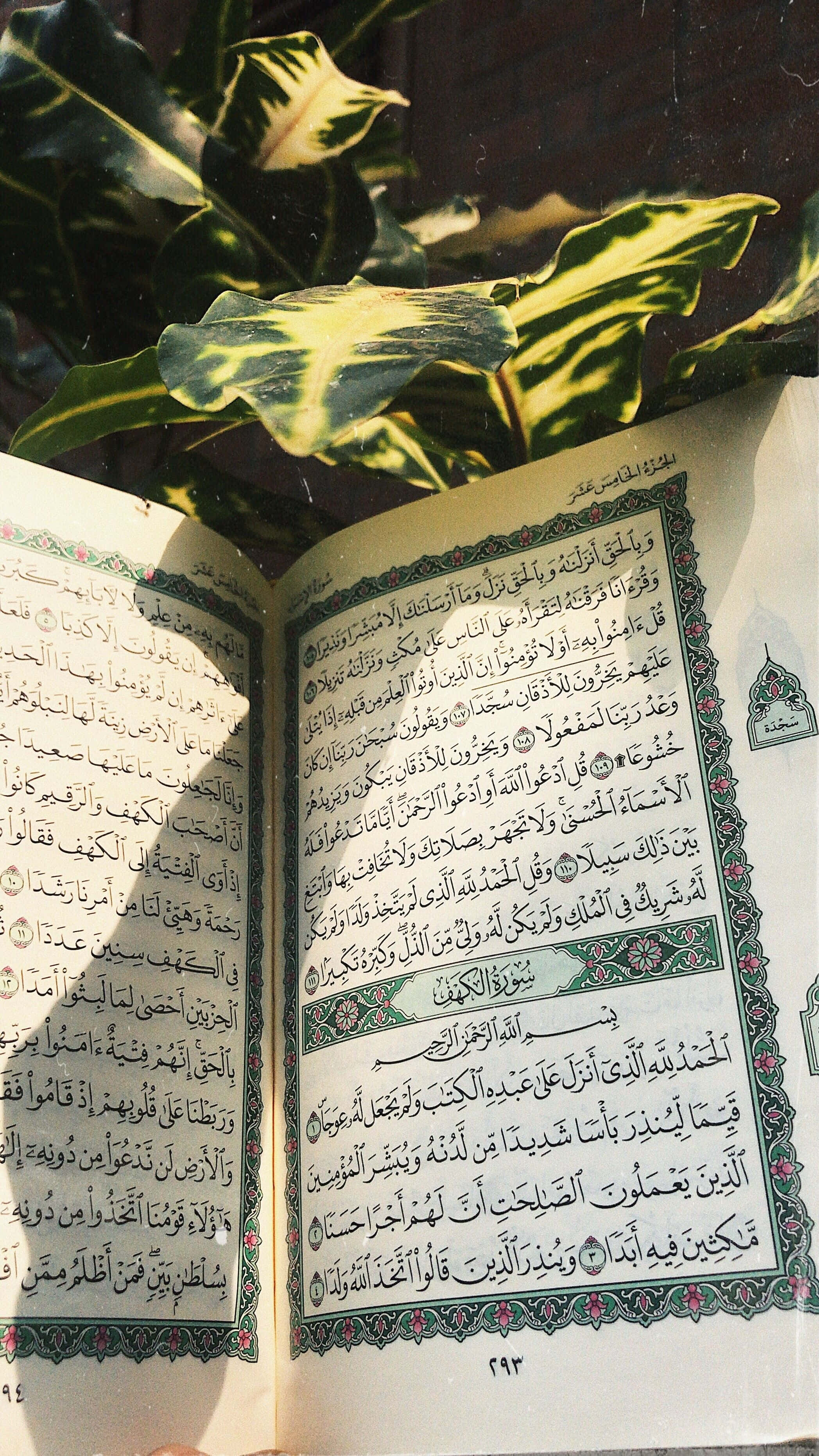 Quran 桌布 壁紙 — 一本打開的古蘭經，帶有複雜的阿拉伯書法，安放在一片巨大的雜色綠葉下，投下柔和的陰影。