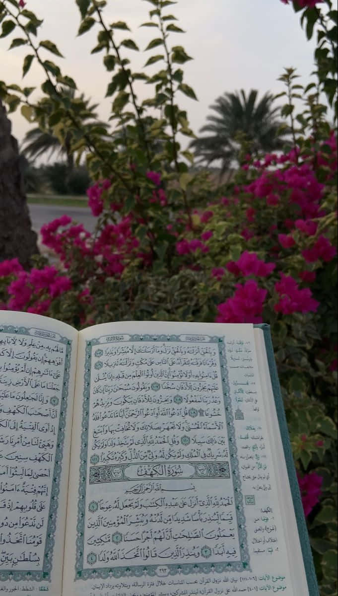 Quran 桌布 壁紙 — 一本打開的古蘭經，帶有阿拉伯文字，放在一叢鮮豔的粉紅色開花灌木上，陽光斑駁。