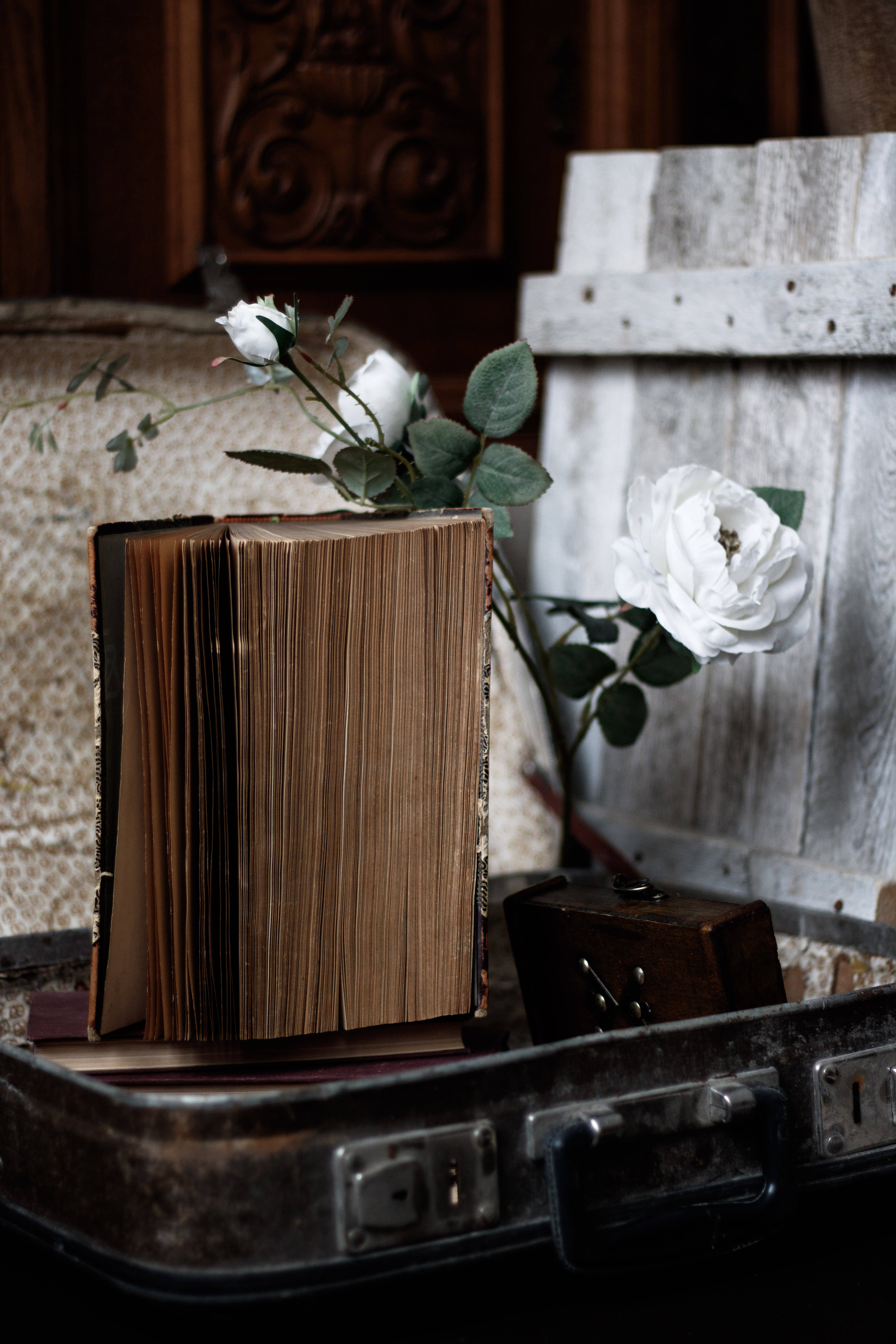 Aesthetic Rose 桌布 壁紙 — 一本打開的復古書本放在一個風化了的行李箱中，旁邊有一朵白玫瑰和一個木箱，在質樸的環境中。