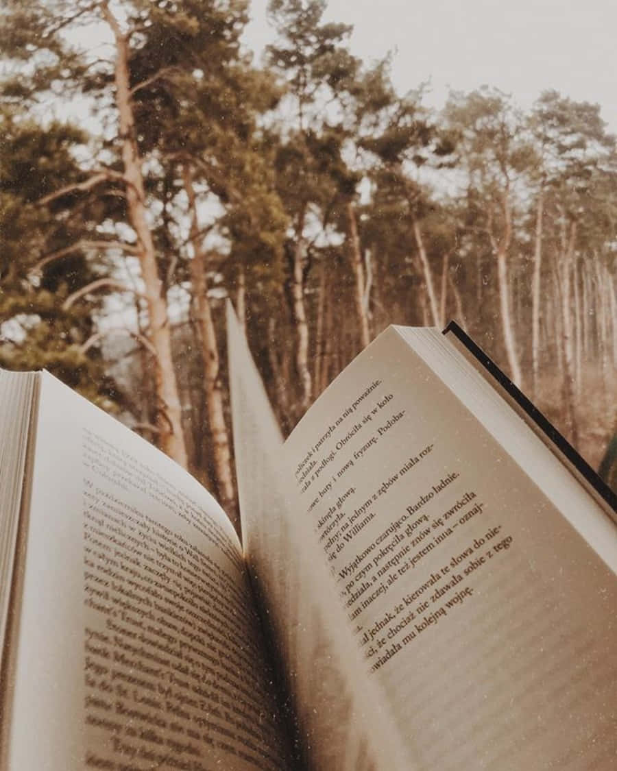 Open Book 桌布 壁紙 — 一本打開的書，上面有波蘭文文字，放在陽光明媚的森林中，周圍是高聳的樹木和柔和的金色光線。