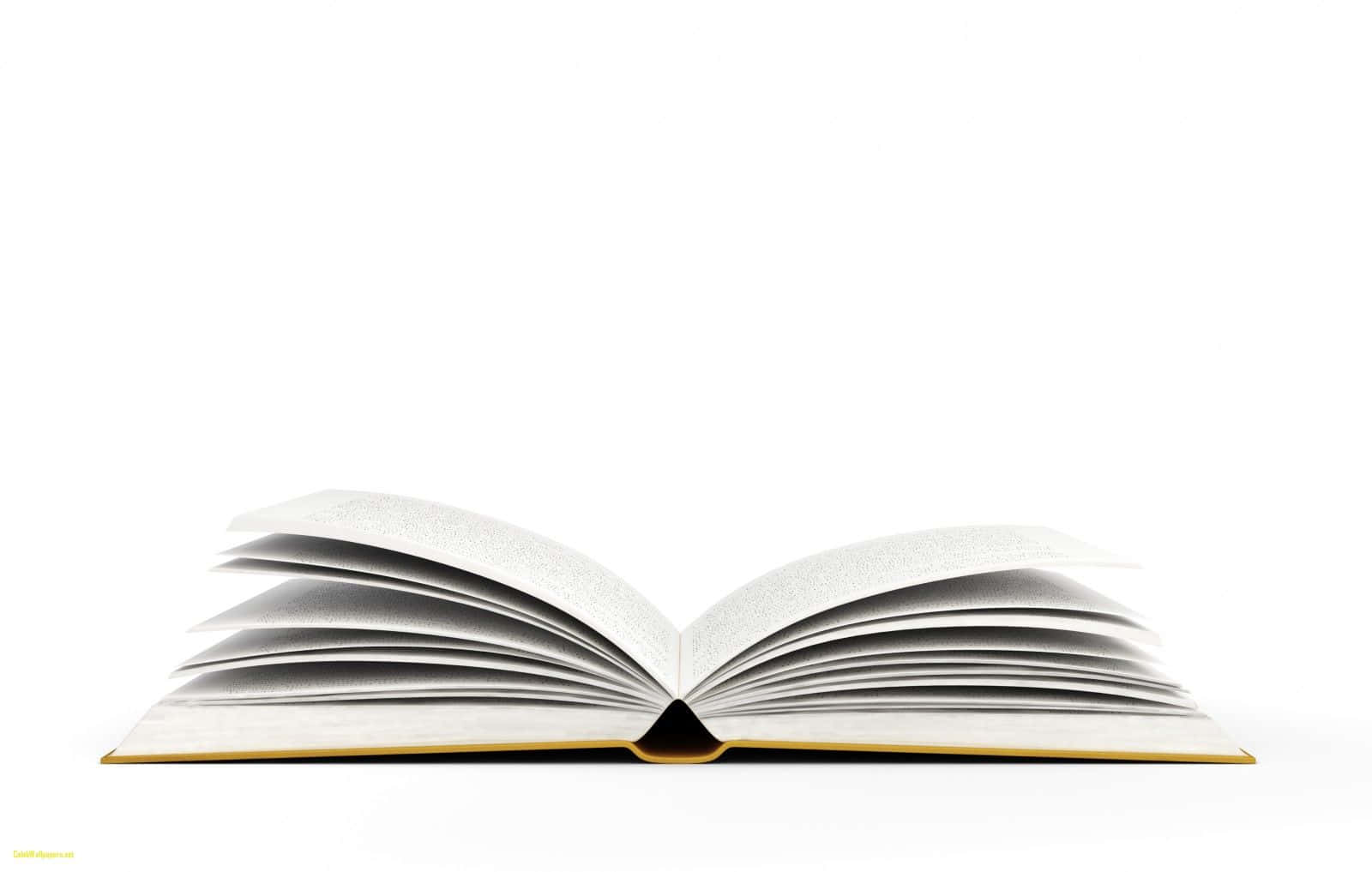 書本 桌布 壁紙 — 一本打開的書，奶油色書頁和金色書邊，平放在純白背景上。
