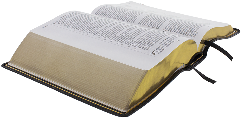 Open Bible 桌布 壁紙 — 一本打開的書，帶有金色浮雕封面和黑色絲帶書籤，放在透明背景上。