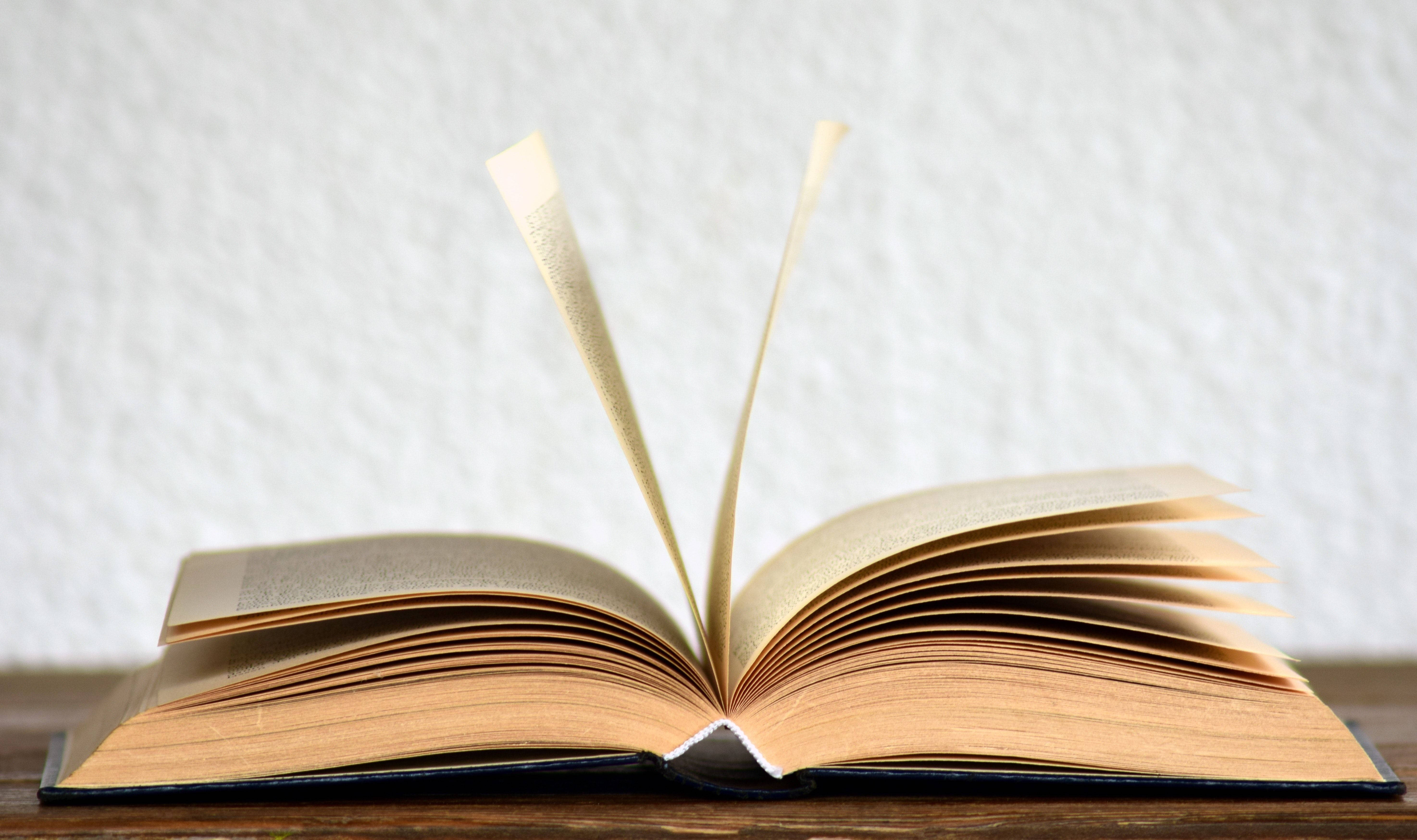 Dictionary 桌布 壁紙 — 一本打開的書，書頁向上展開，放在木質表面上，背景是帶有紋理的白色牆壁。
