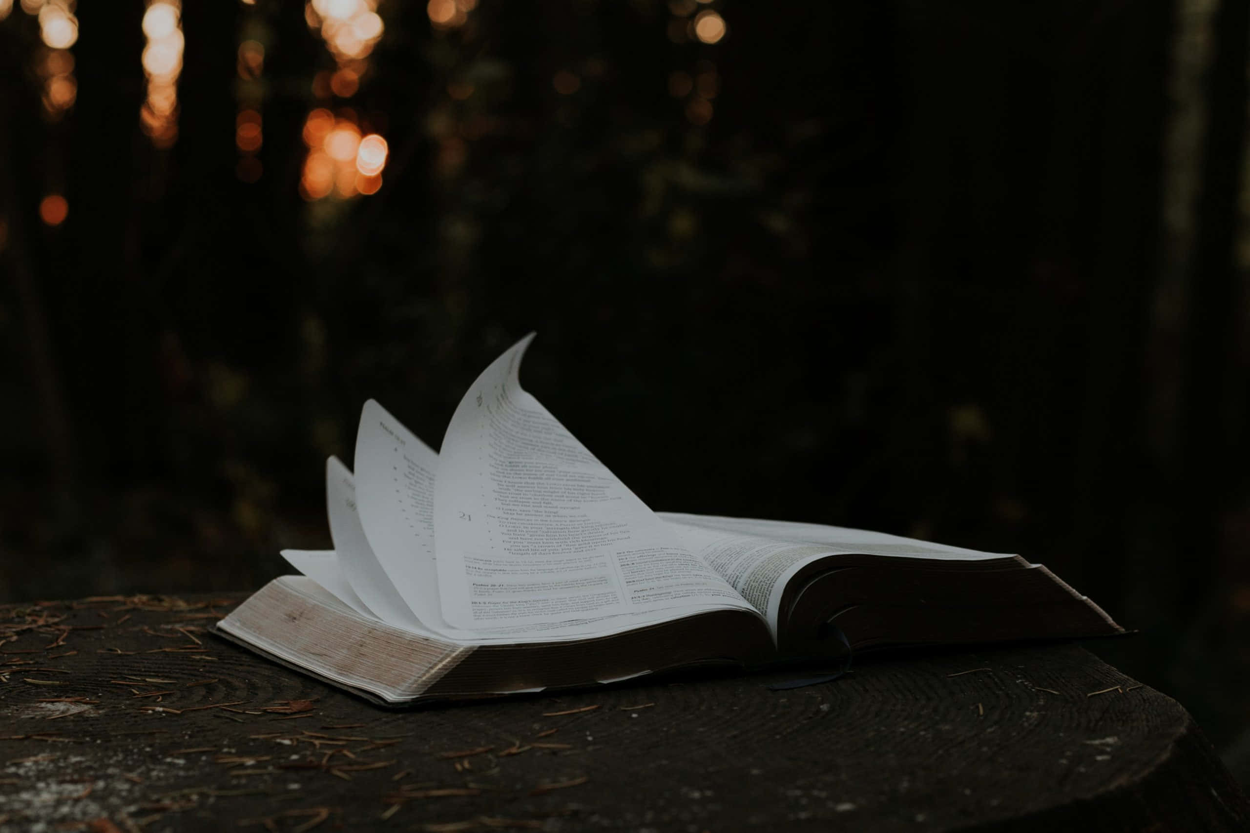 Scripture 桌布 壁紙 — 一本打開的書，書頁飄動，擱在長滿苔蘚的樹樁上，身處昏暗的森林中，沐浴在金色的散景光裡。