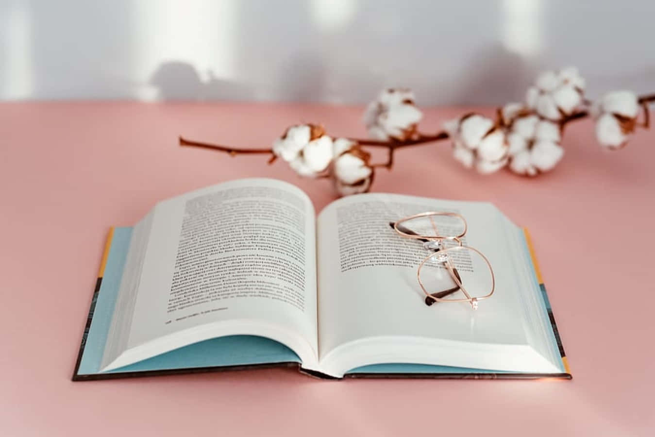Open Book 桌布 壁紙 — 一本打開的書，玫瑰金眼鏡擱在書頁上，旁邊放著一枝棉花枝，置於柔和的粉紅色表面上。
