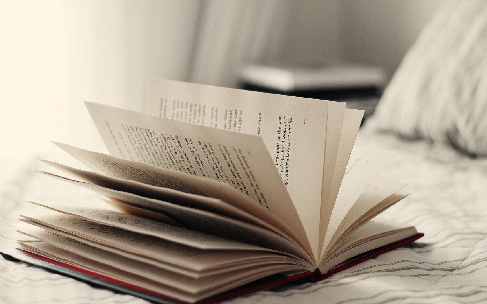 書本 桌布 壁紙 — 一本打開的書，紅色書脊，放在柔和的自然光下皺巴巴的白色床罩上。