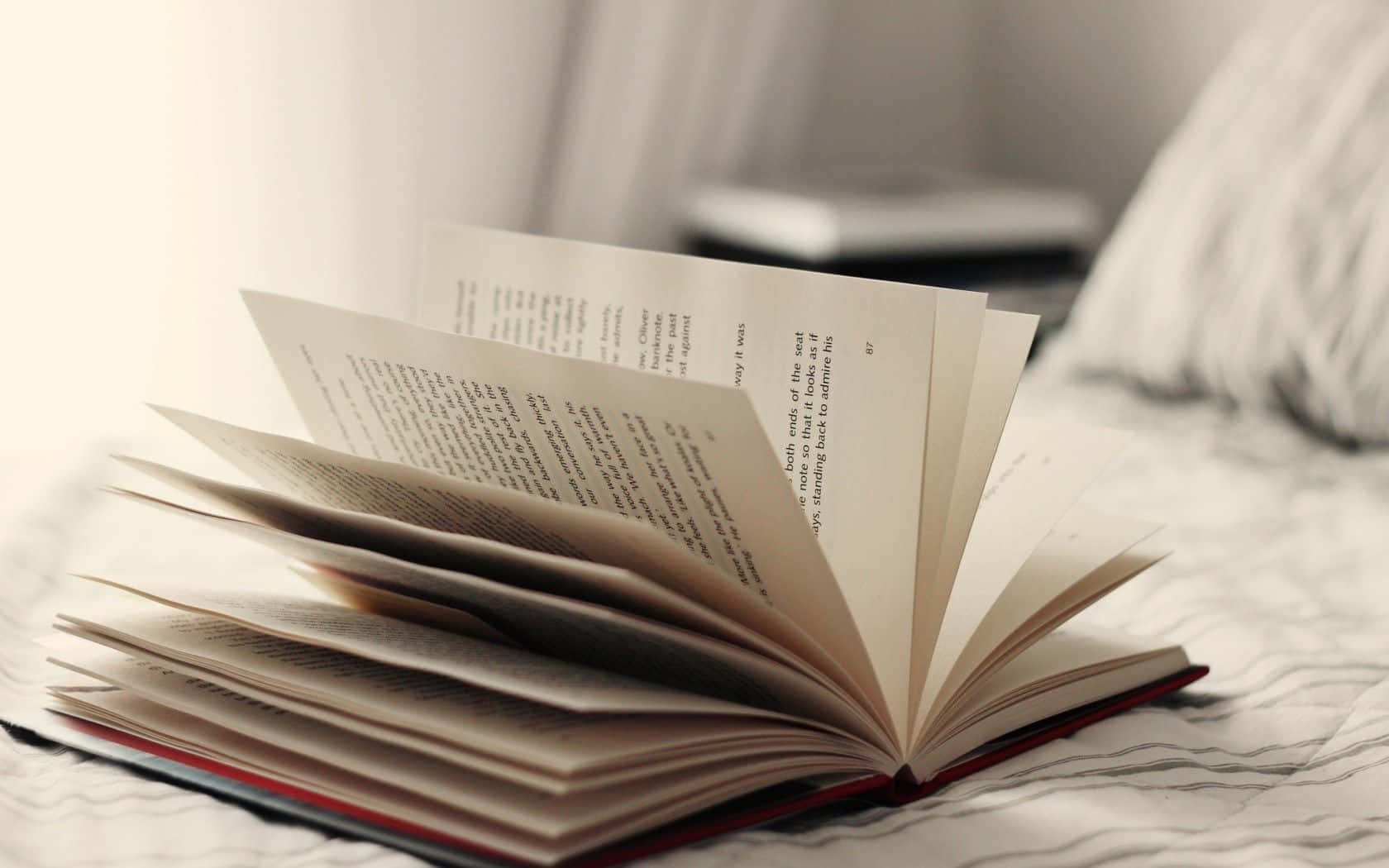 書本 桌布 壁紙 — 一本打開的書，紙張清脆，誘人地放在舒適臥室環境中柔軟有紋理的床罩上。