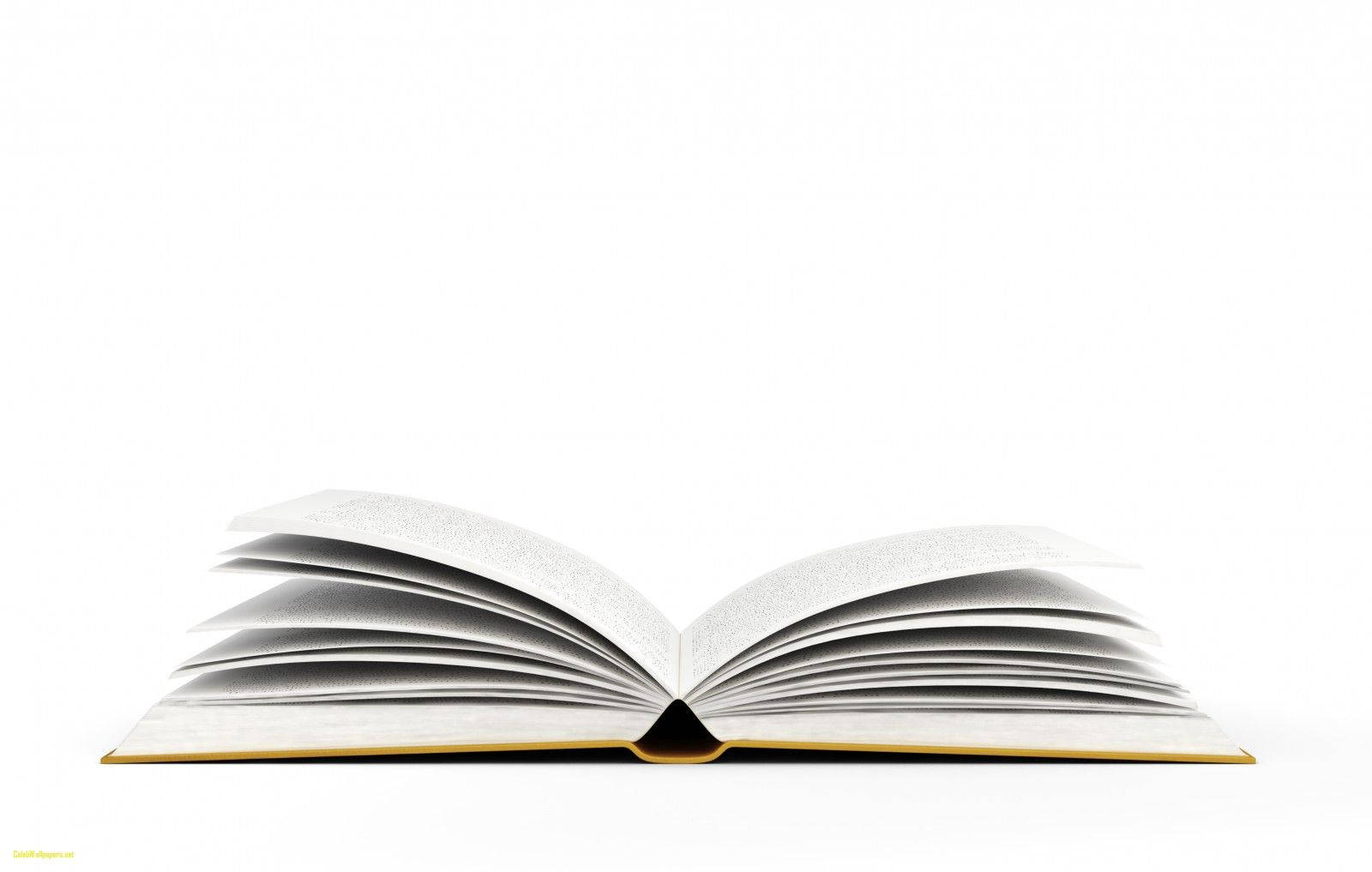 書本 桌布 壁紙 — 一本打開的書，金邊，平放在純白背景上，書頁像翅膀一樣展開。