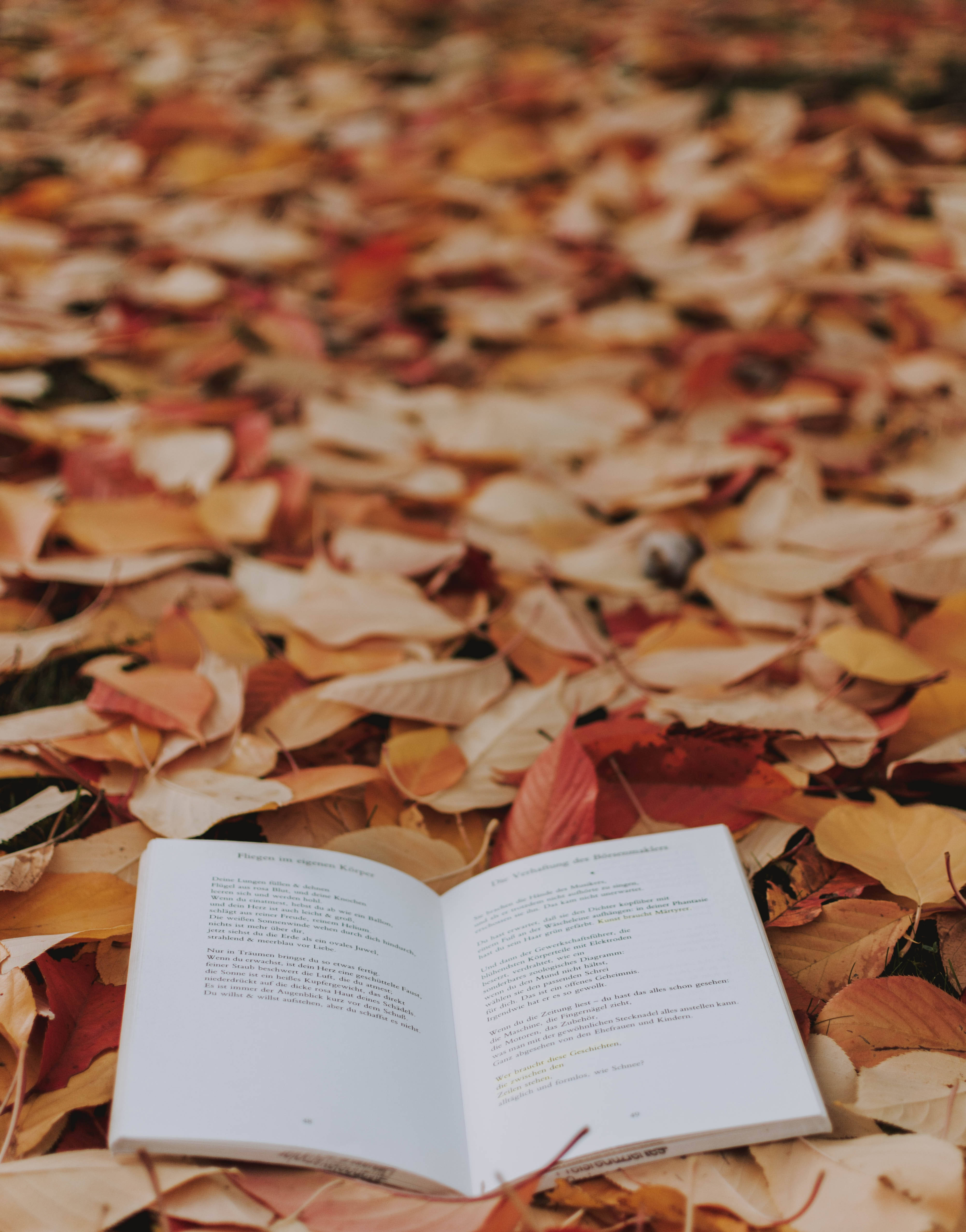 Fall Leaves 桌布 壁紙 — 一本打開的書在柔和自然光下，躺在鮮豔的紅色和橙色秋葉上。