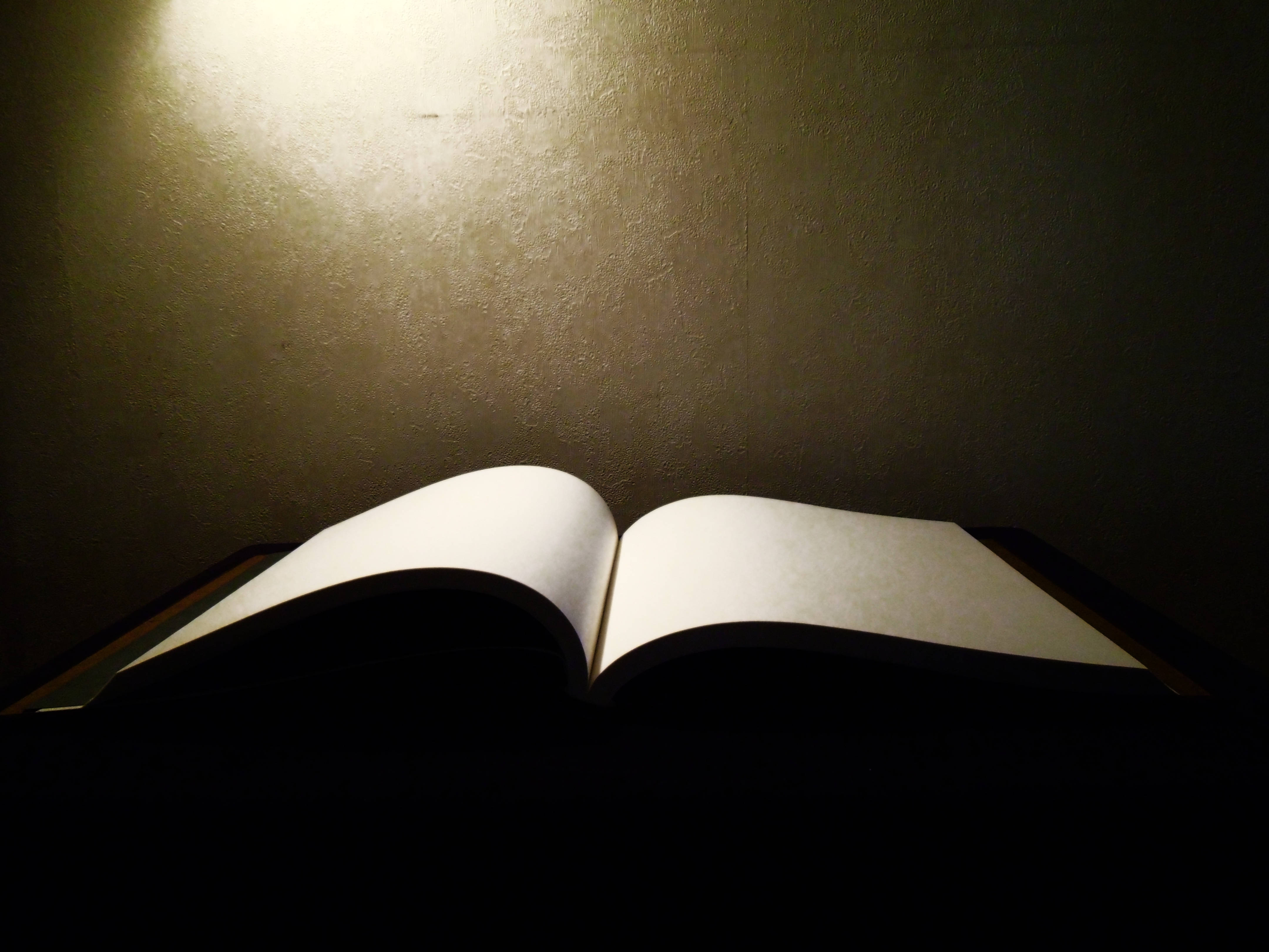 paper 桌布 壁紙 — 一本打開的書放在昏暗的光線中，空白頁面在紋理牆壁上柔和地發光。