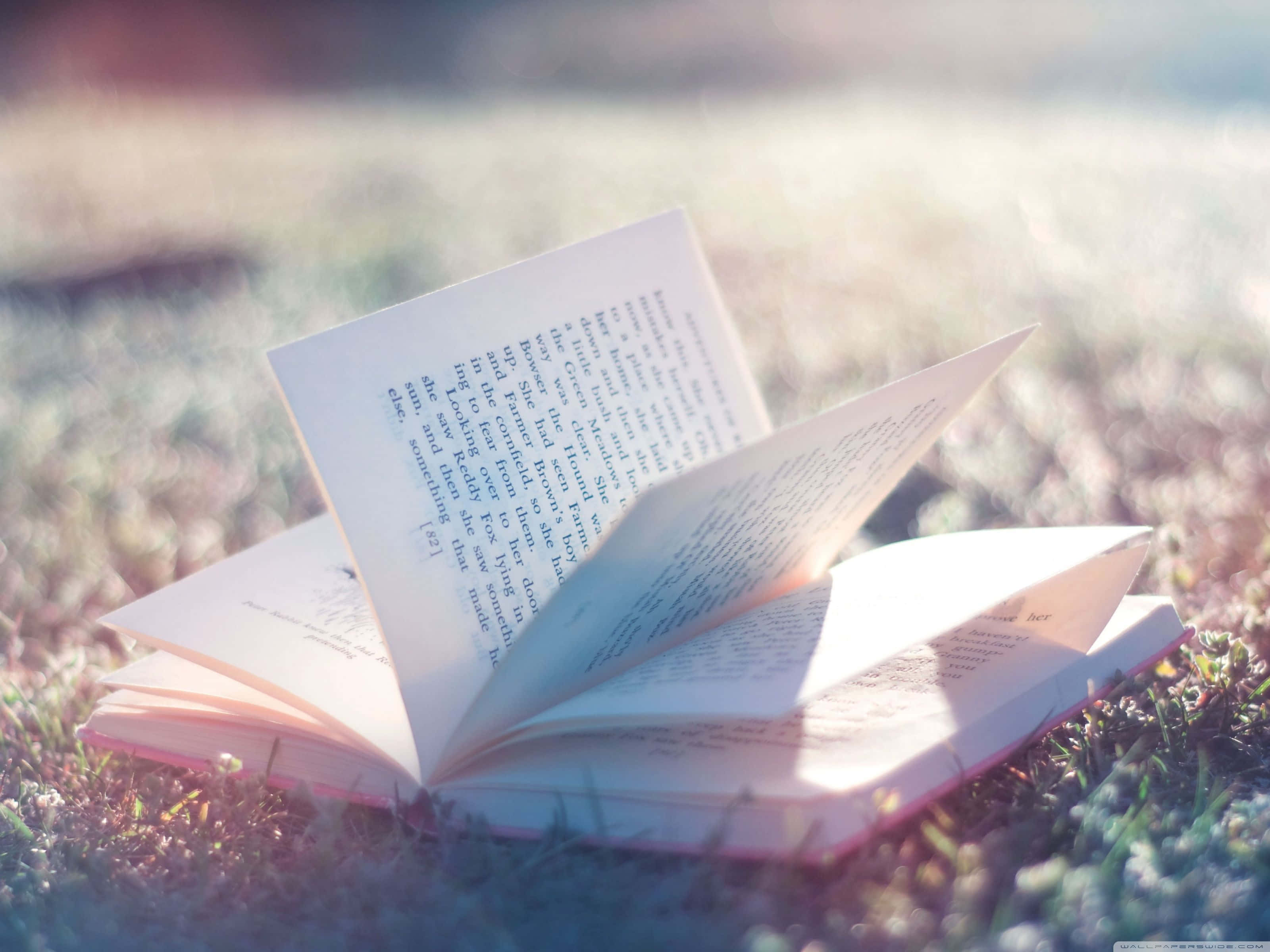 書本 桌布 壁紙 — 一本打開的書放在沐浴在溫暖陽光下的草地上，背景帶有柔和散景效果。