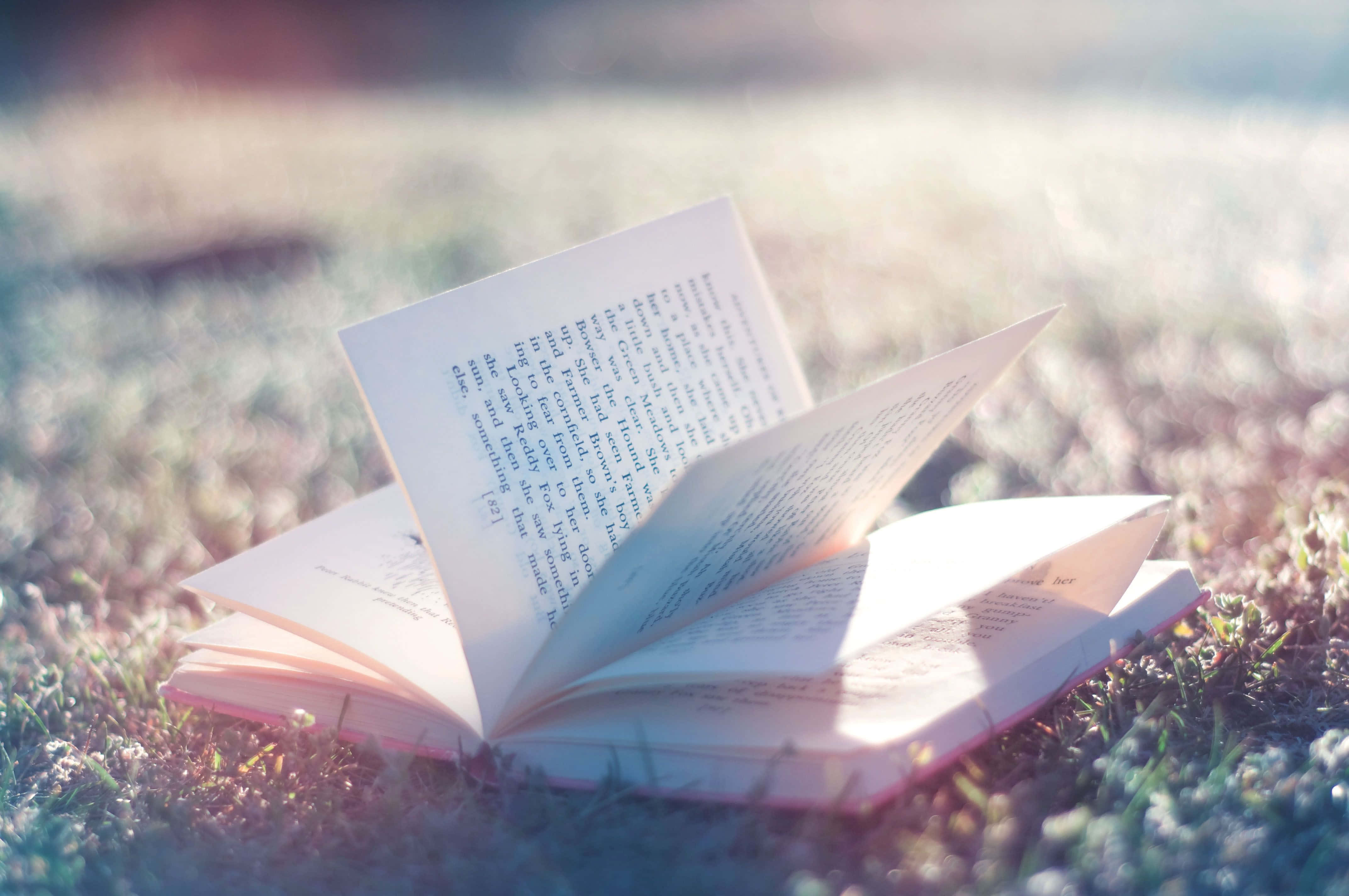 books 桌布 壁紙 — 一本打開的書放在沾滿露水的草地上，沐浴在柔和的金色晨光中，營造出夢幻般的淺景深效果。
