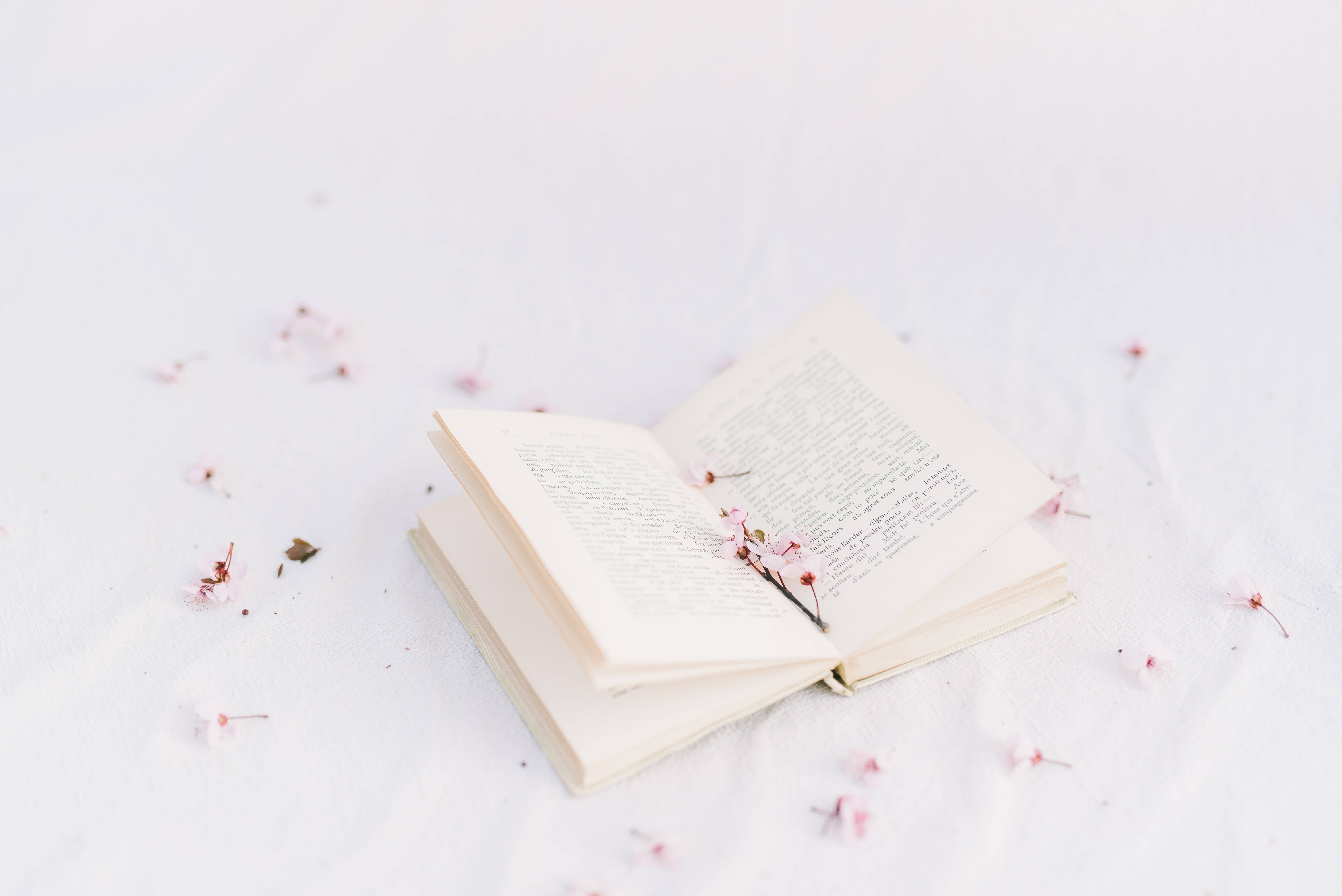 預科生美學 桌布 壁紙 — 一本打開的書放在白色表面上，周圍散落著粉紅色的櫻花。