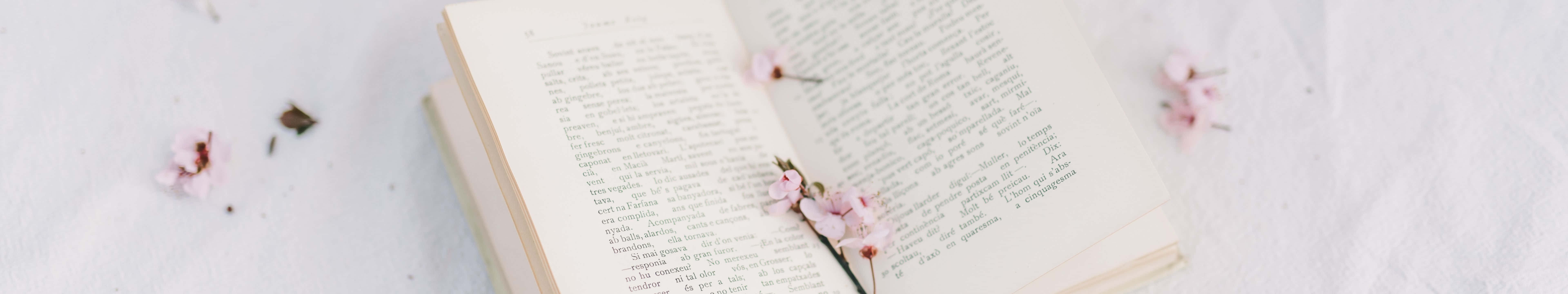 打開的書，粉紅色櫻花散落在白色紋理表面上。 — 寬螢幕動態圖片 壁紙