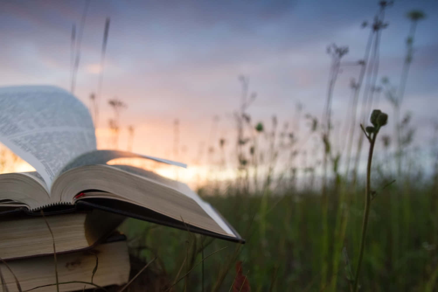 Biblical 桌布 壁紙 — 一本打開的書放在草地上的一堆書上，夕陽西下，溫暖的光芒在書頁間閃爍。