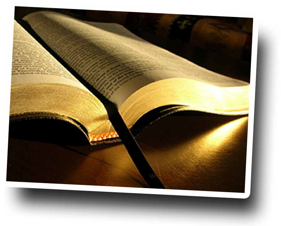 Open Bible 桌布 壁紙 — 一本打開的書沐浴在溫暖的金色光芒中，在木質表面上投下長長的陰影。