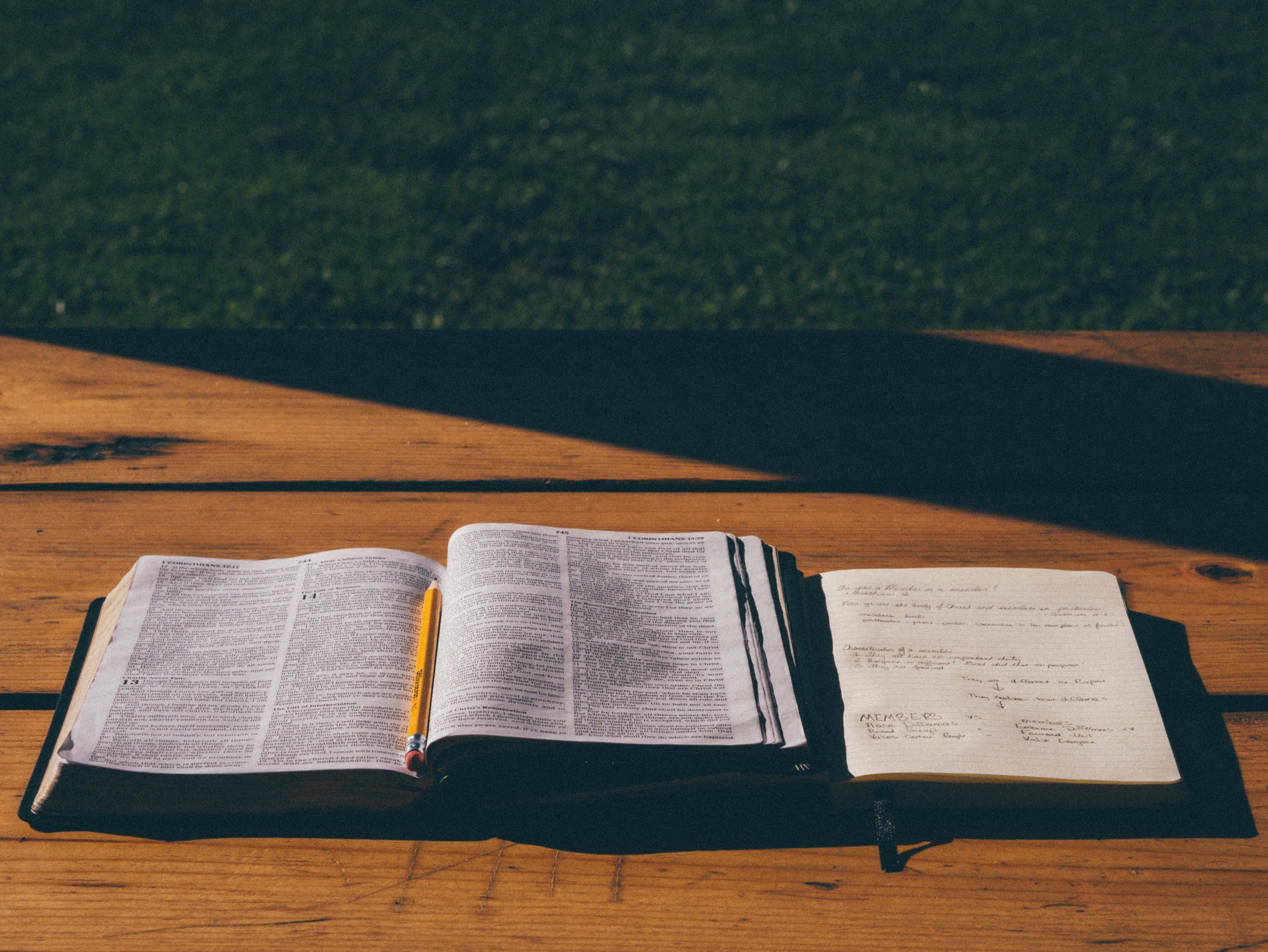 Bible Study 桌布 壁紙 — 一本打開的聖經和筆記本放在一張陽光照射的木桌上，背景有草。