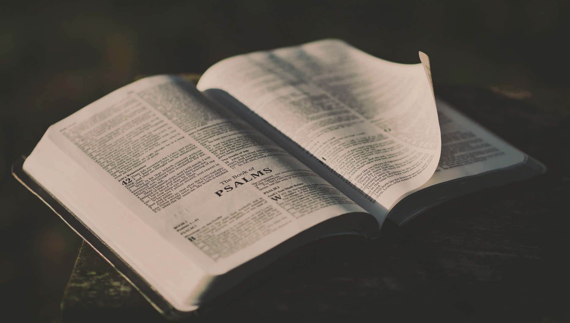 Scripture 桌布 壁紙 — 一本打開的聖經放在深色木質表面上，柔和光線突顯詩篇的頁面。
