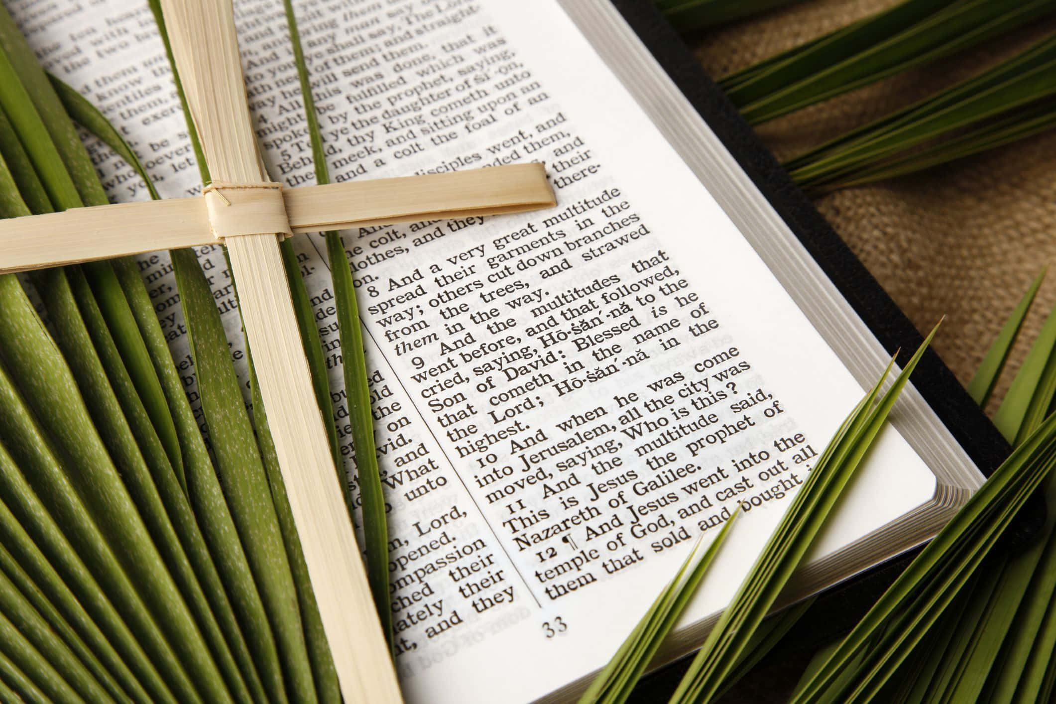 Scripture 桌布 壁紙 — 一本打開的聖經放在編織表面上，新鮮的綠色棕櫚葉在其頁面上綁成十字形狀。