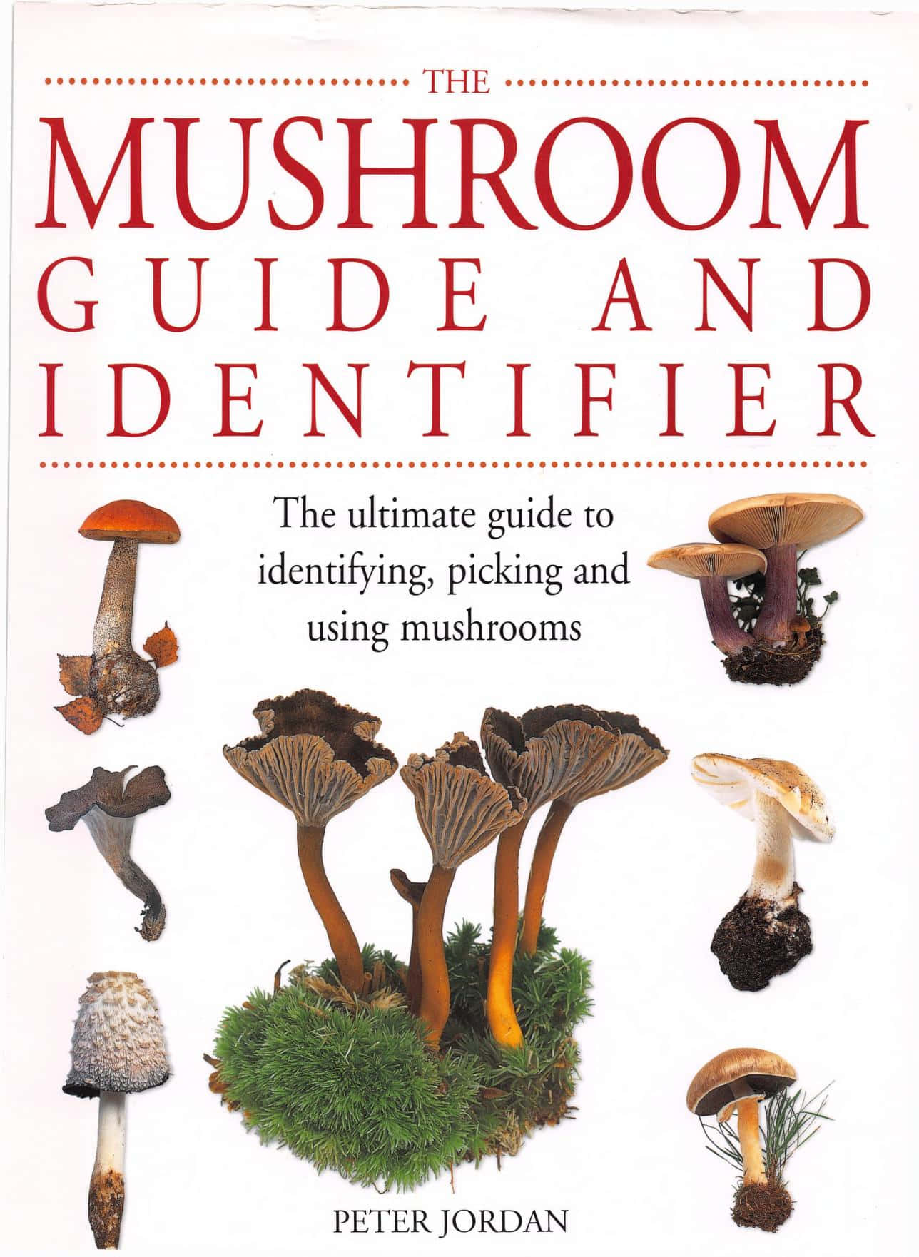 Mushroom Identification 桌布 壁紙 — 一本書的封面，上面有各種詳細的蘑菇品種，背景為白色，帶有紅色標題文字。
