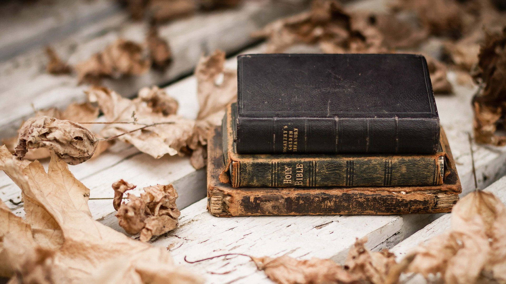 中世紀 桌布 壁紙 — 一本舊皮面聖經擱在一堆破舊的書本上，周圍是乾燥的秋葉，放在風化的木質表面上。