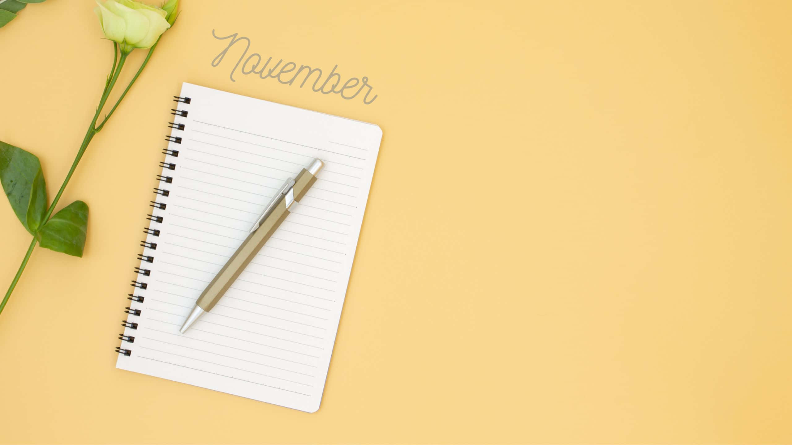 November Desktop 桌布 壁紙 — 一本螺旋筆記本配上一支銀色筆，放在一朵白玫瑰旁邊，背景是溫暖的黃色，上方寫有November字樣。