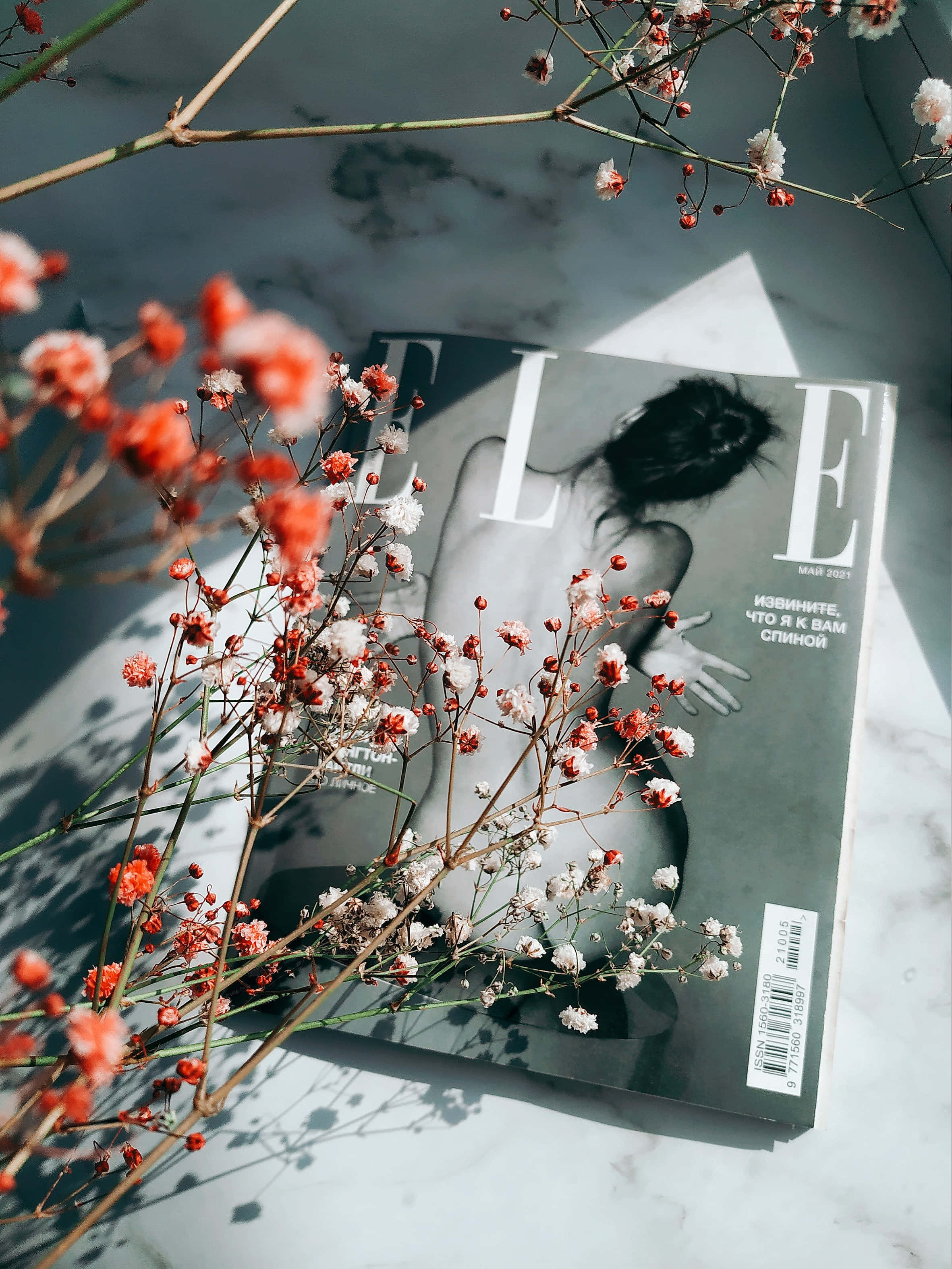 雜誌 桌布 壁紙 — 一本雜誌放在大理石表面上，周圍是精緻的紅色和白色乾燥花，投下柔和的陰影。