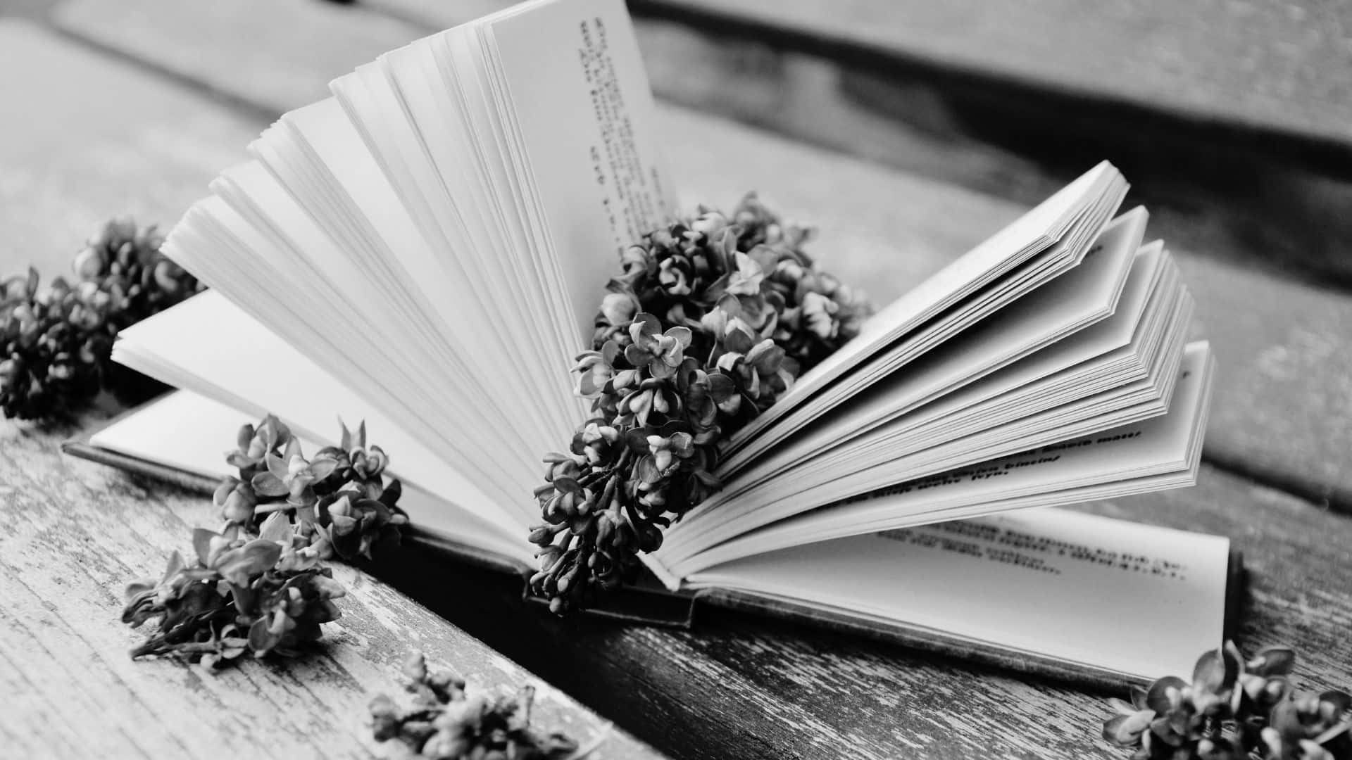 Black And White Book 桌布 壁紙 — 一本黑白打開的書，散落著乾燥花，放在風化的木質表面上。