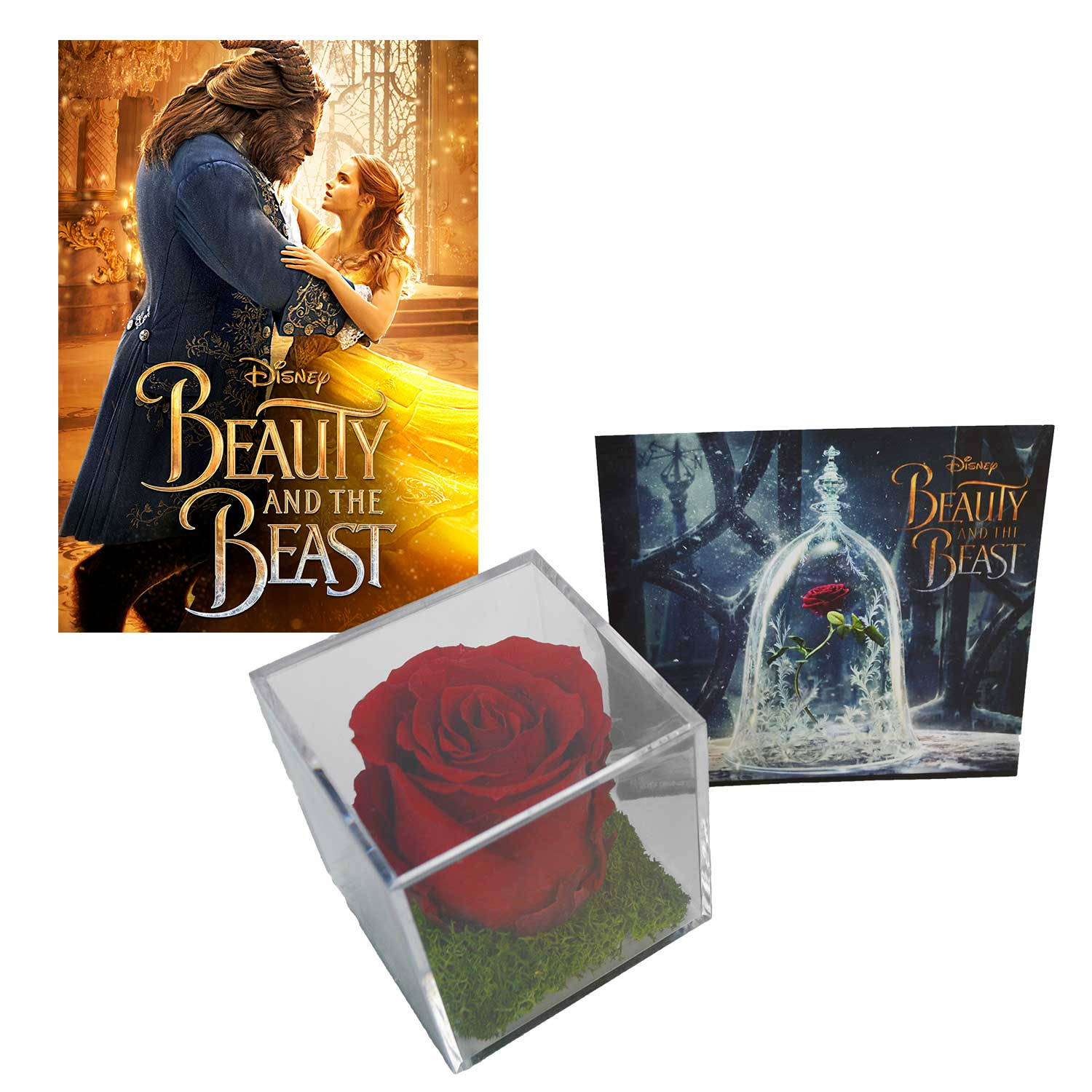 beast 桌布 壁紙 — 一朵保存的紅玫瑰放在玻璃立方體中，旁邊是迪士尼《美女與野獸》的電影海報。