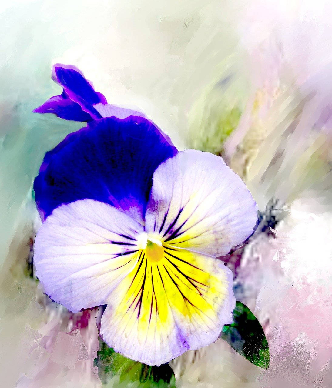 Pansy 桌布 壁紙 — 一朵充滿活力的三色堇，帶有紫色、白色和黃色的花瓣，在柔和的水彩背景中綻放。