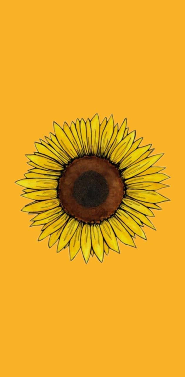 Sunflower Yellow 桌布 壁紙 — 一朵充滿活力的向日葵，帶有鮮明的黃色花瓣和深色花心，居中放置在純色溫暖的橙色背景上。